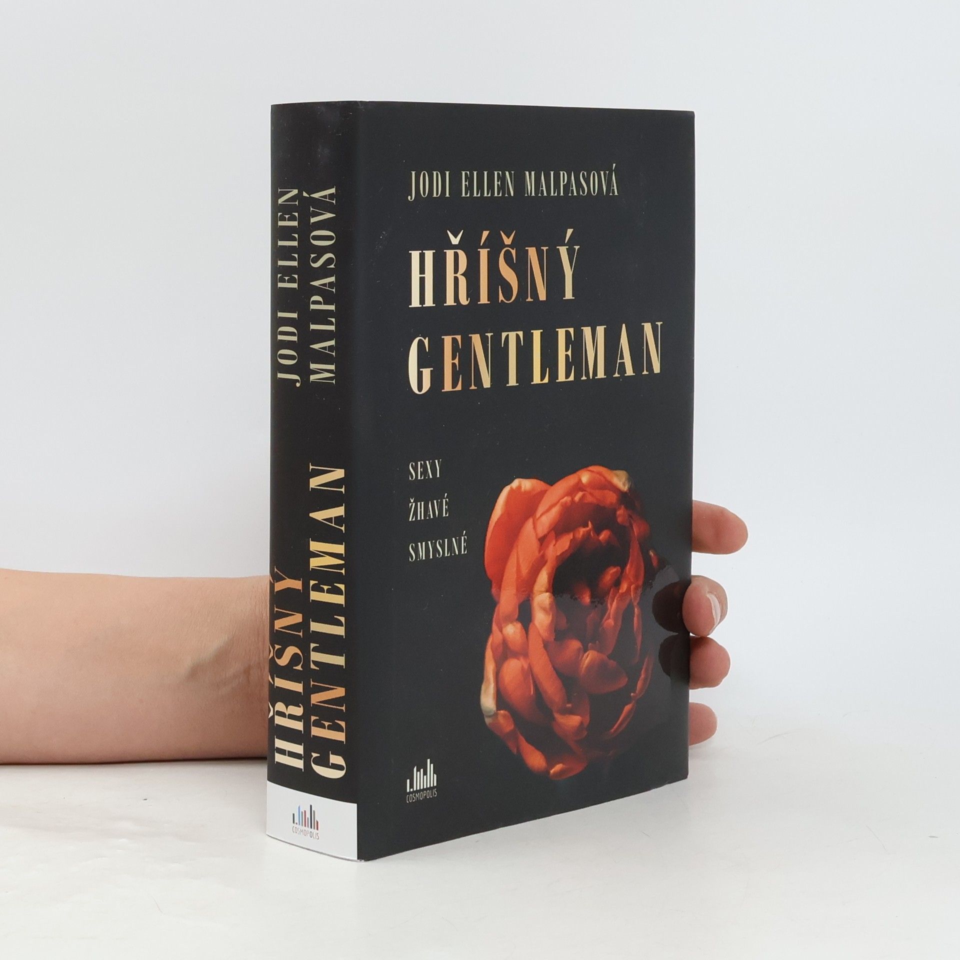 Jodi Ellen Malpas Hříšný gentleman