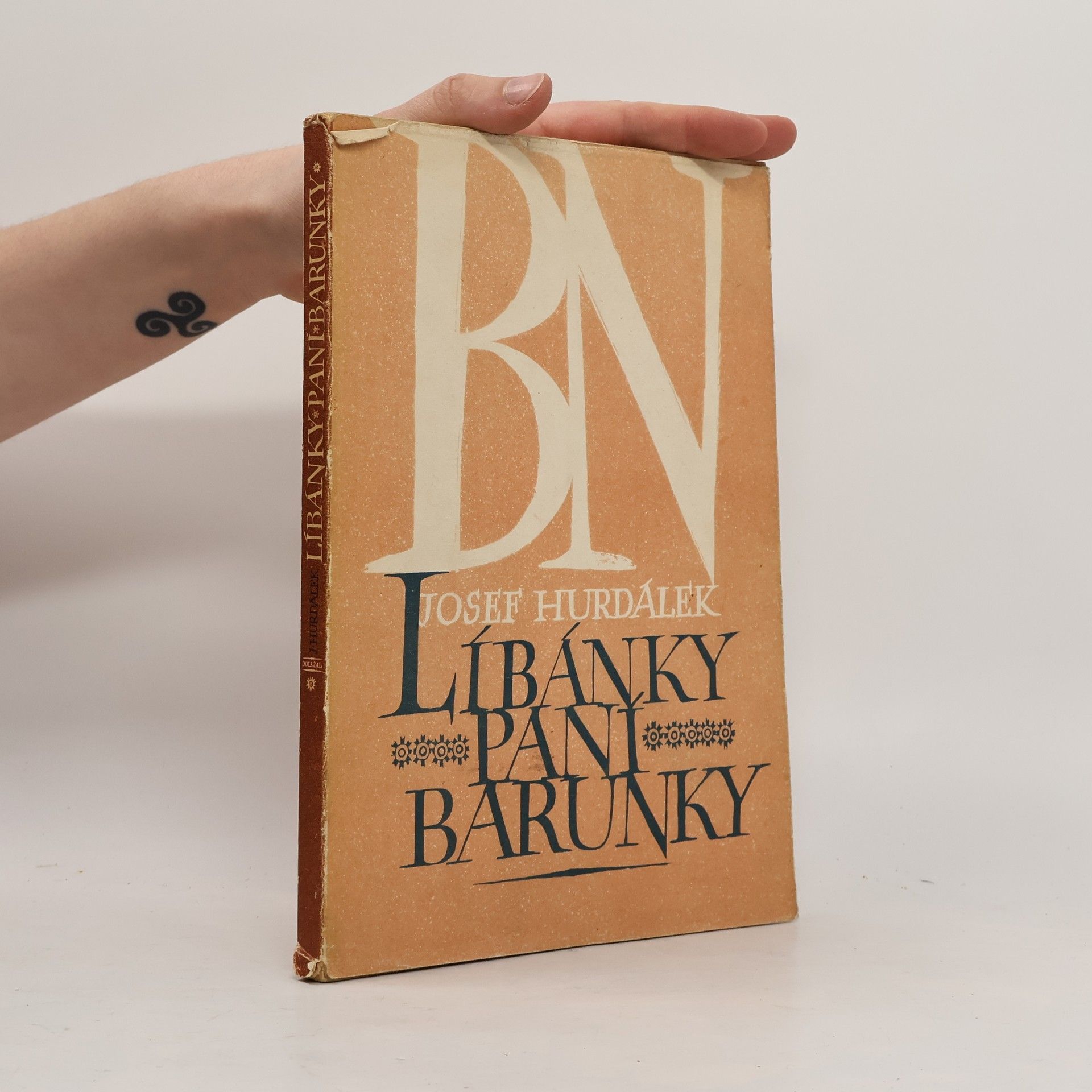 Líbánky paní Barunky. Zápisky o Boženě Němcové z památného jiřinkového roku