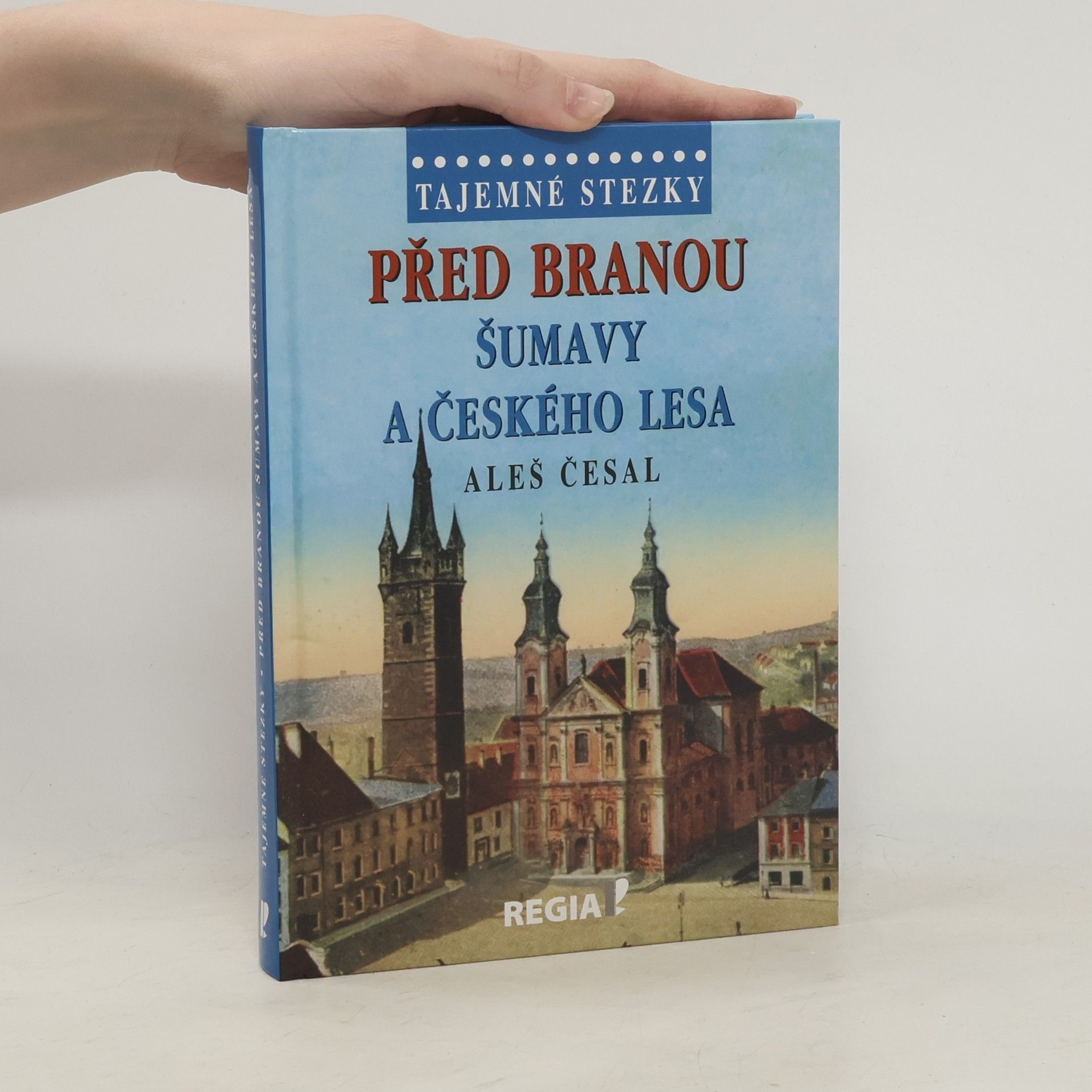 Před branou Šumavy a Českého lesa