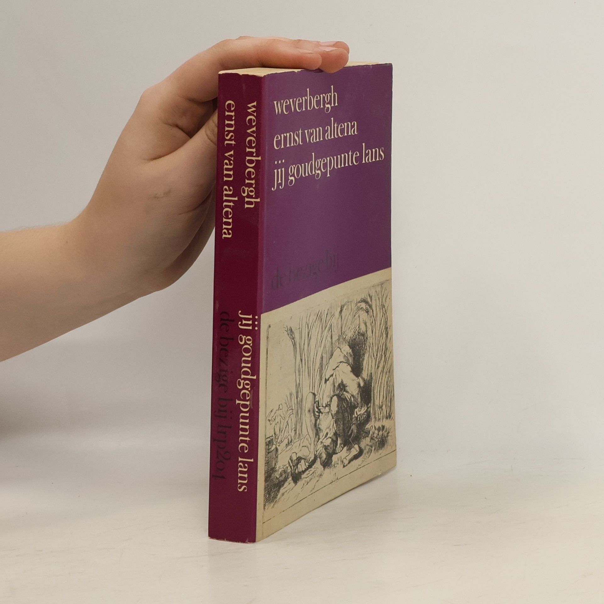 Jij goudgepunte lans