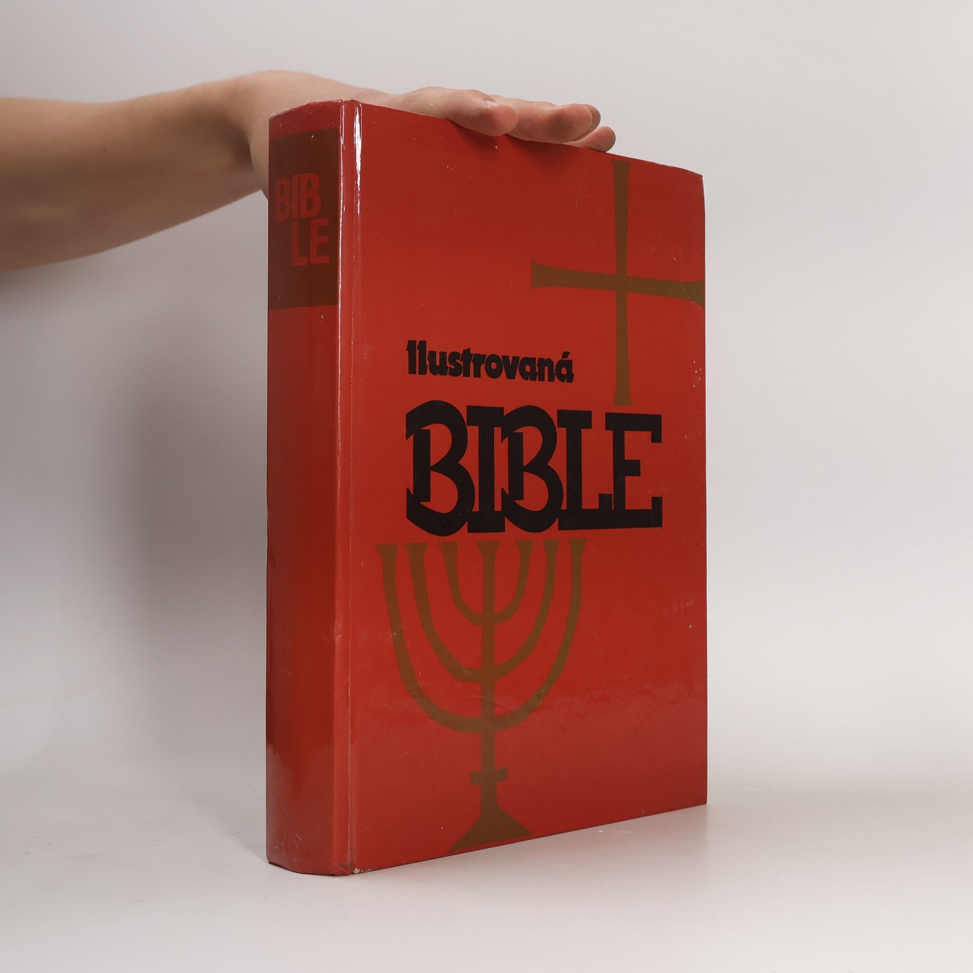 Auteurscollectief Ilustrovaná Bible