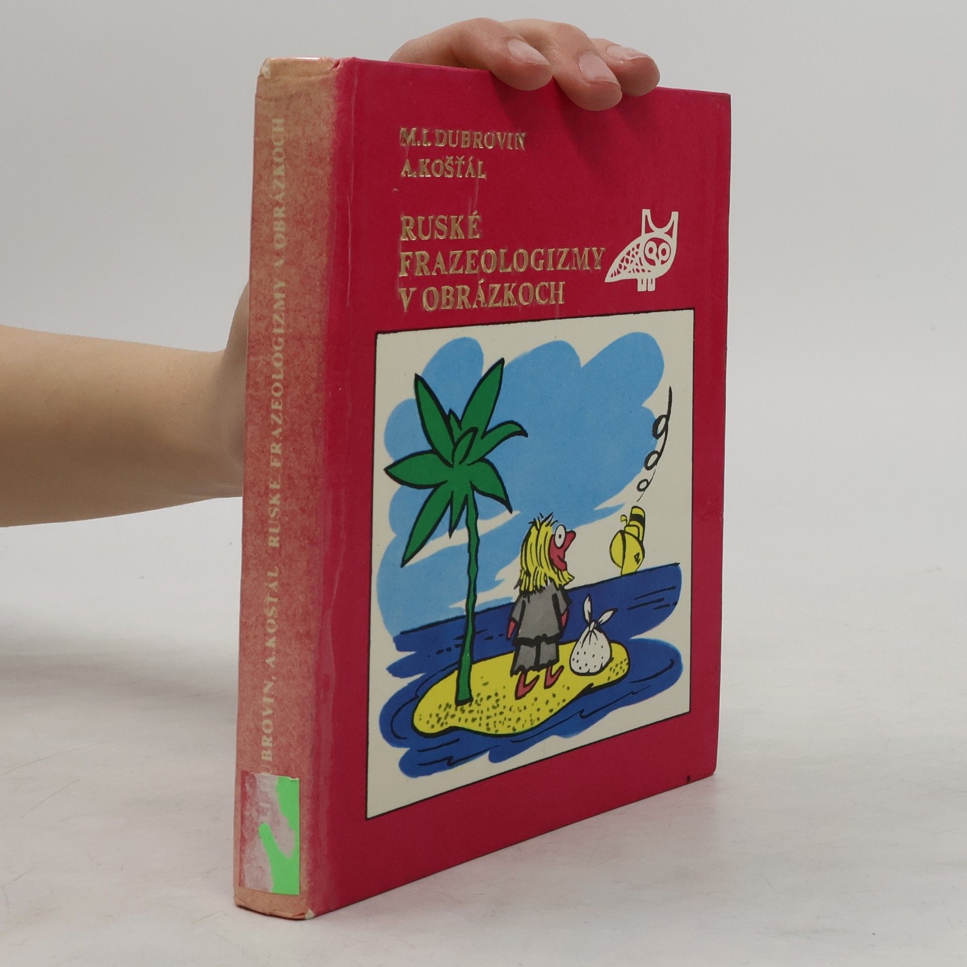 Kolektiv autorů Ruské frazeologizmy v obrázkoch