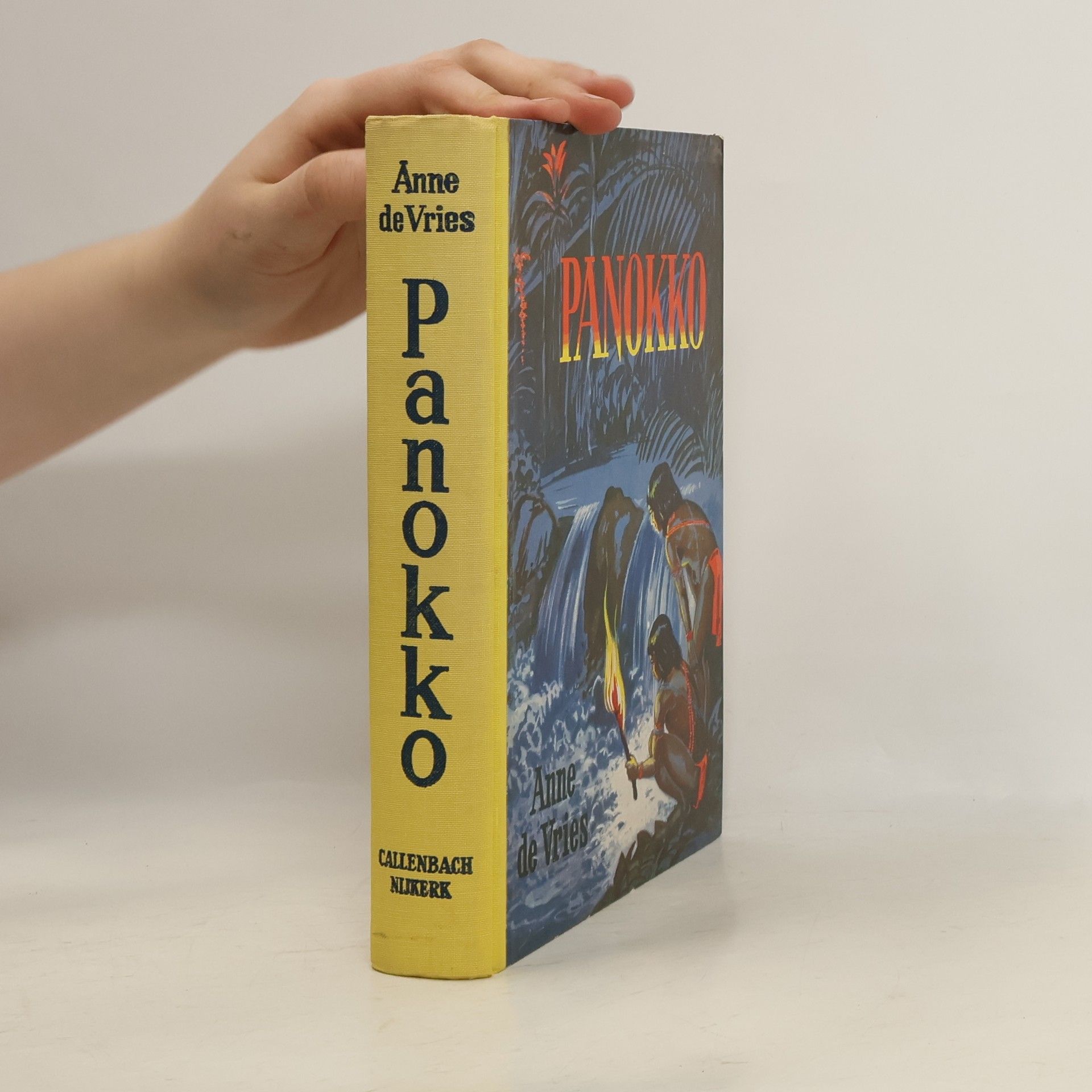 Anne Devries Panokko