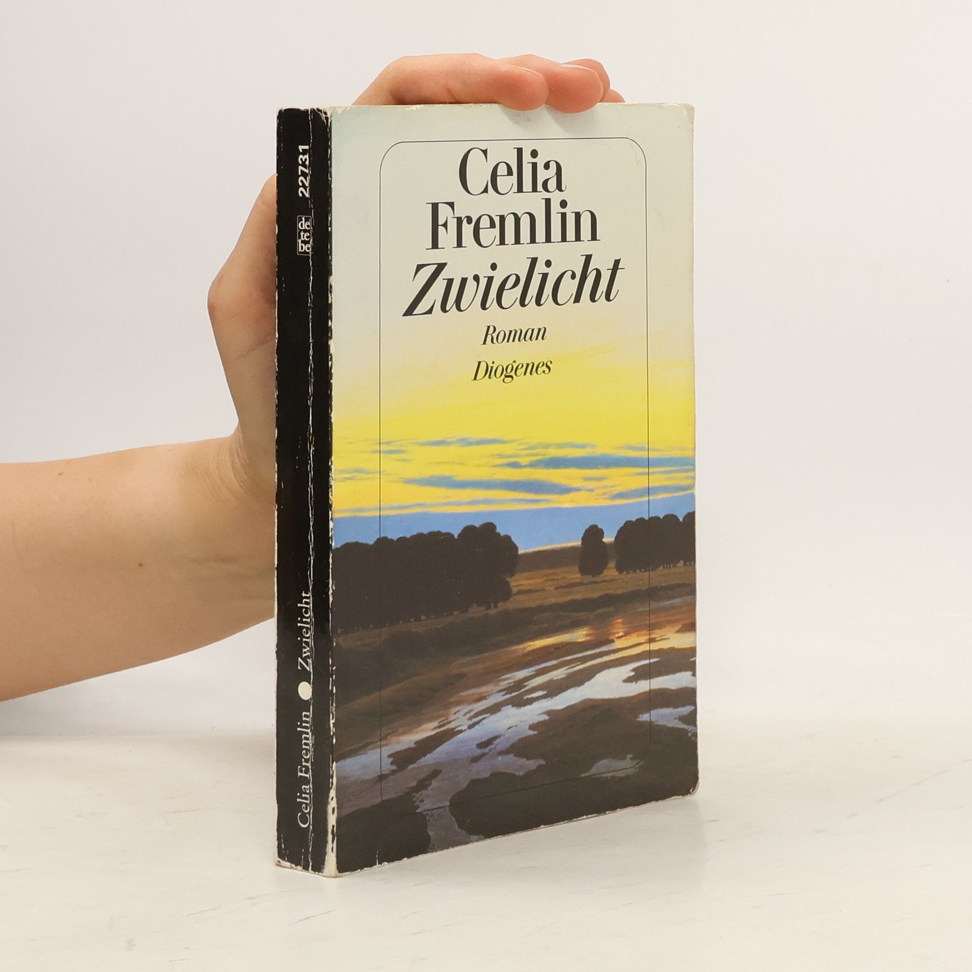 Celia Fremlin Zwielicht