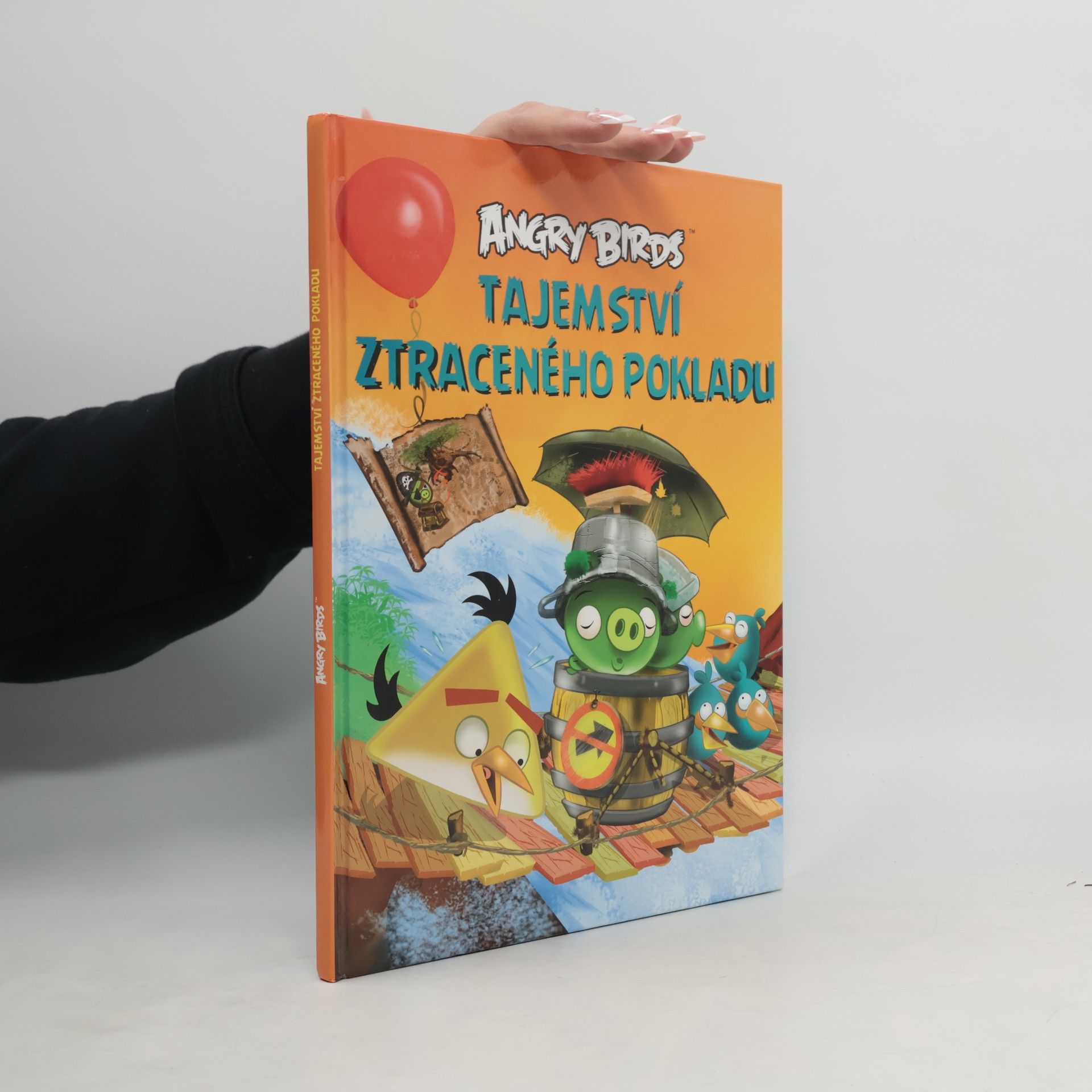 Tapani Bagge Angry Birds. Tajemství ztraceného pokladu