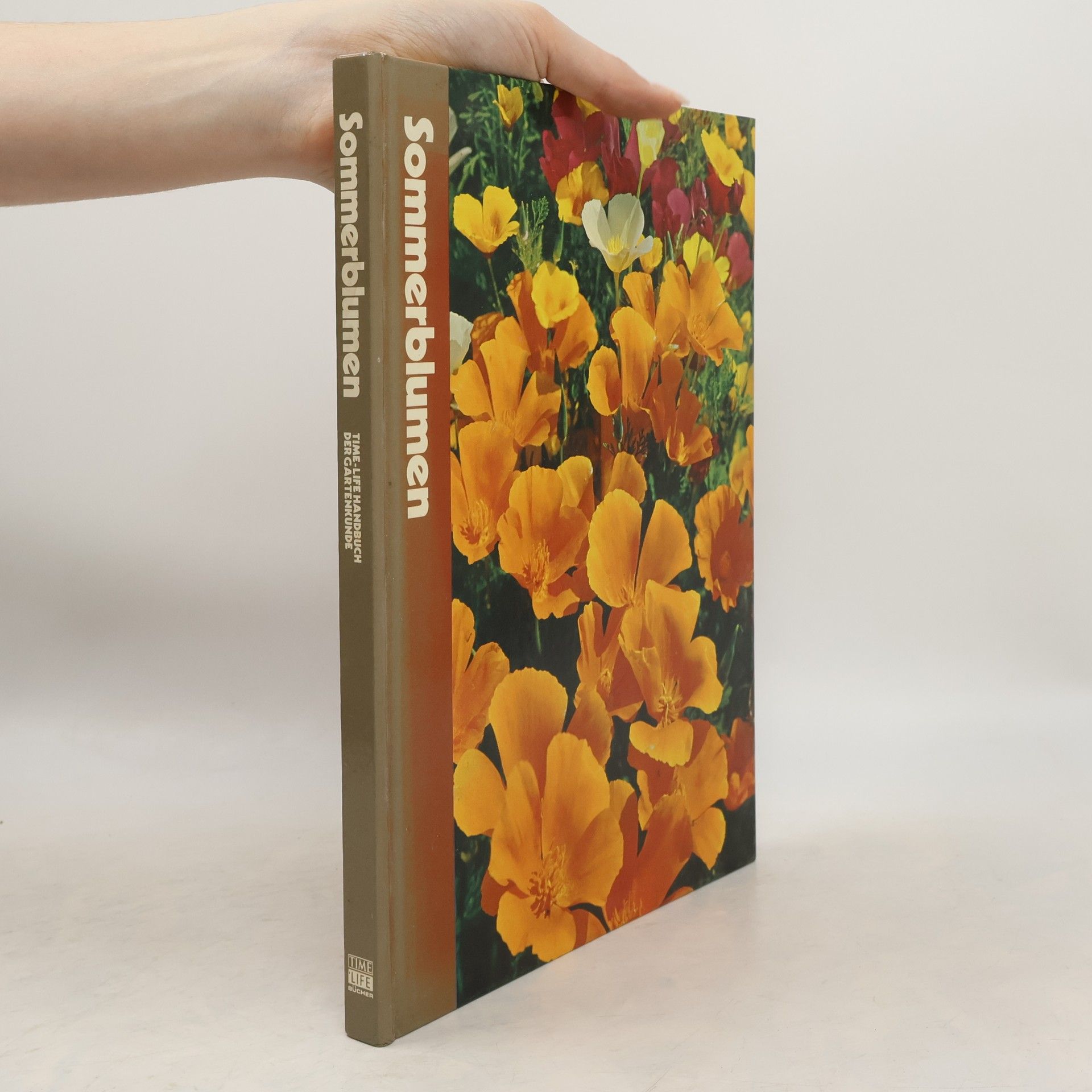 Willy Seyffert Sommerblumen