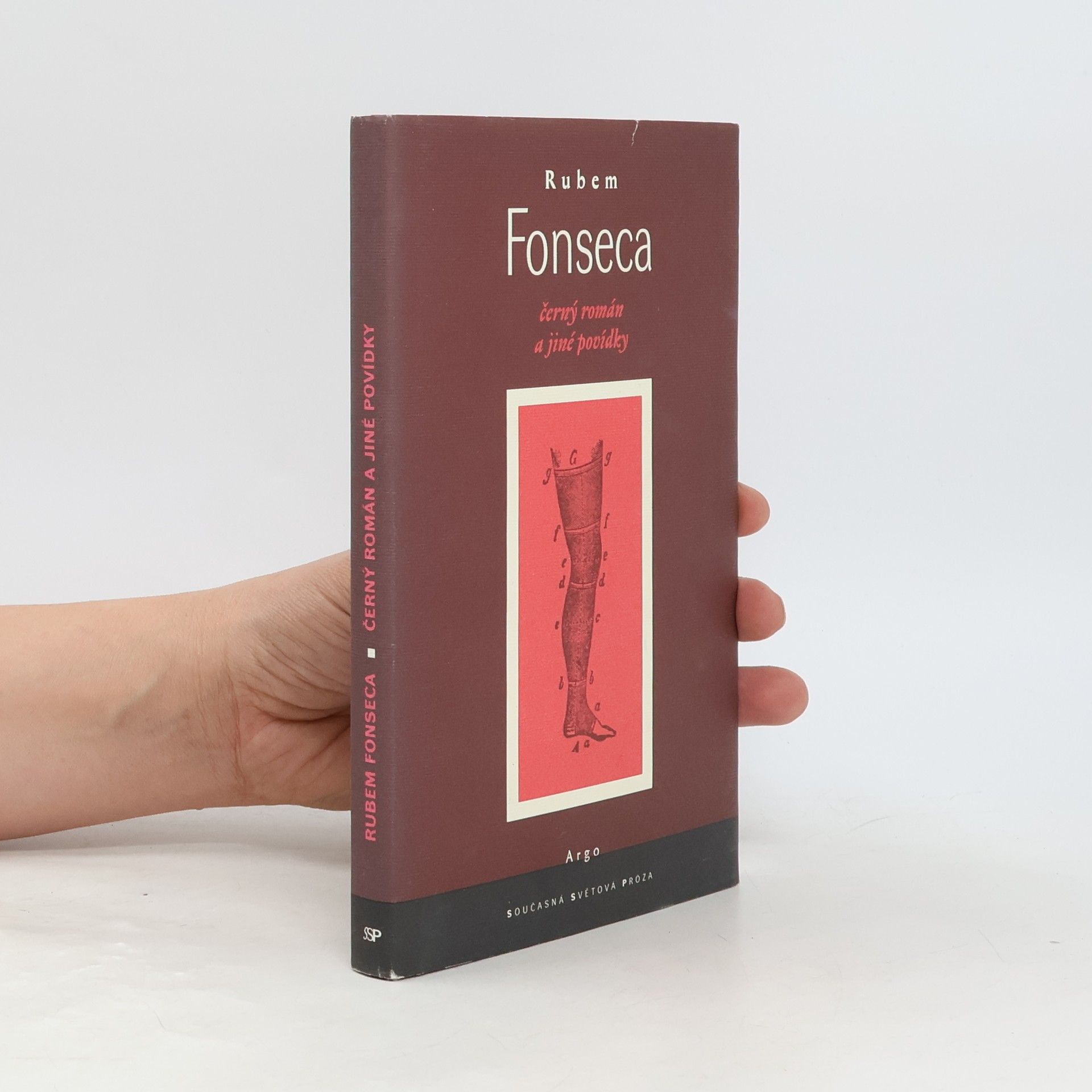 Rubem Fonseca Černý román a jiné povídky