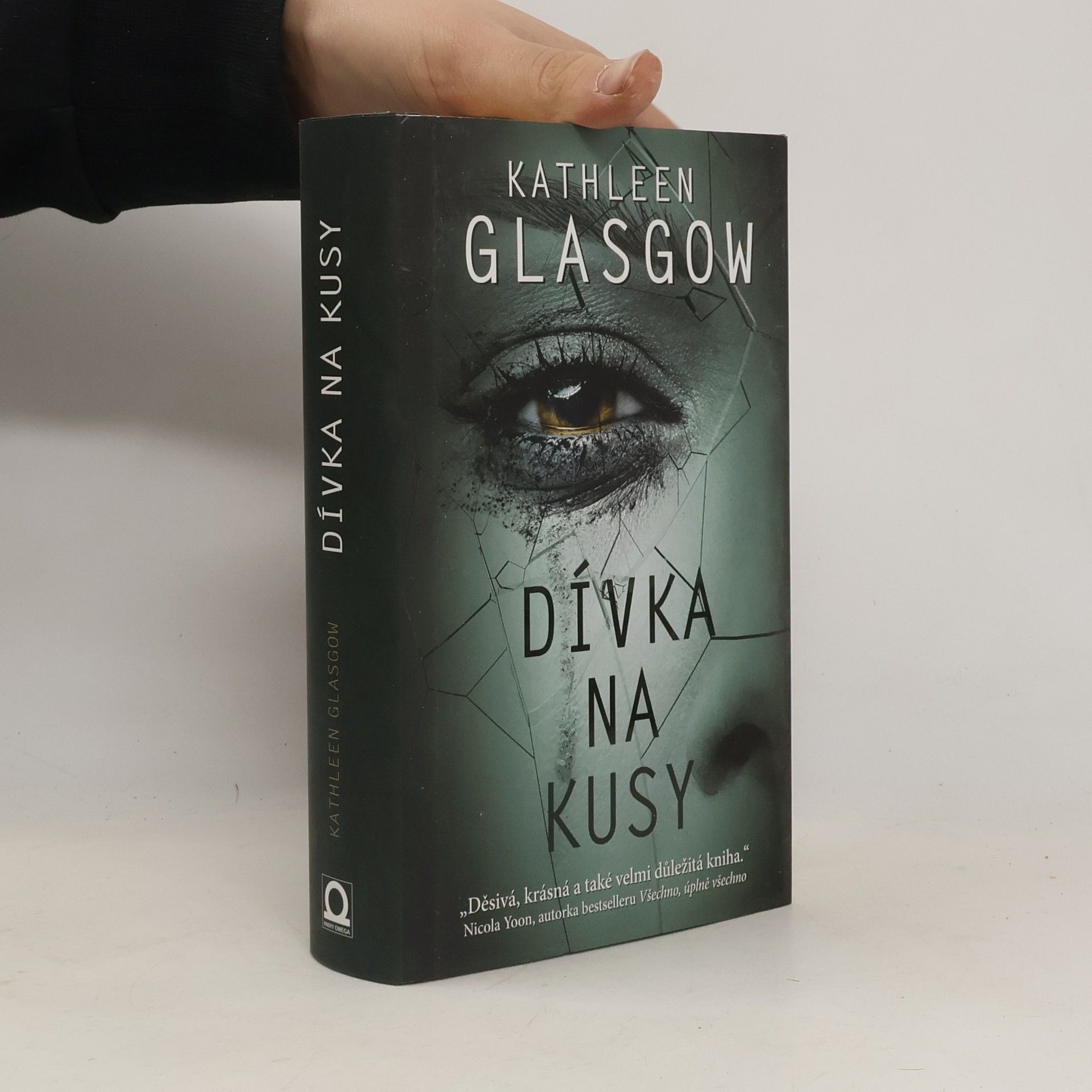 Kathleen Glasgow Dívka na kusy