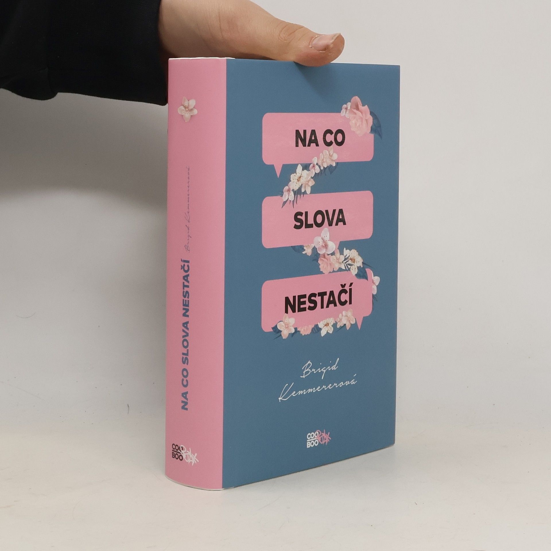 Brigid Kemmerer Na co slova nestačí