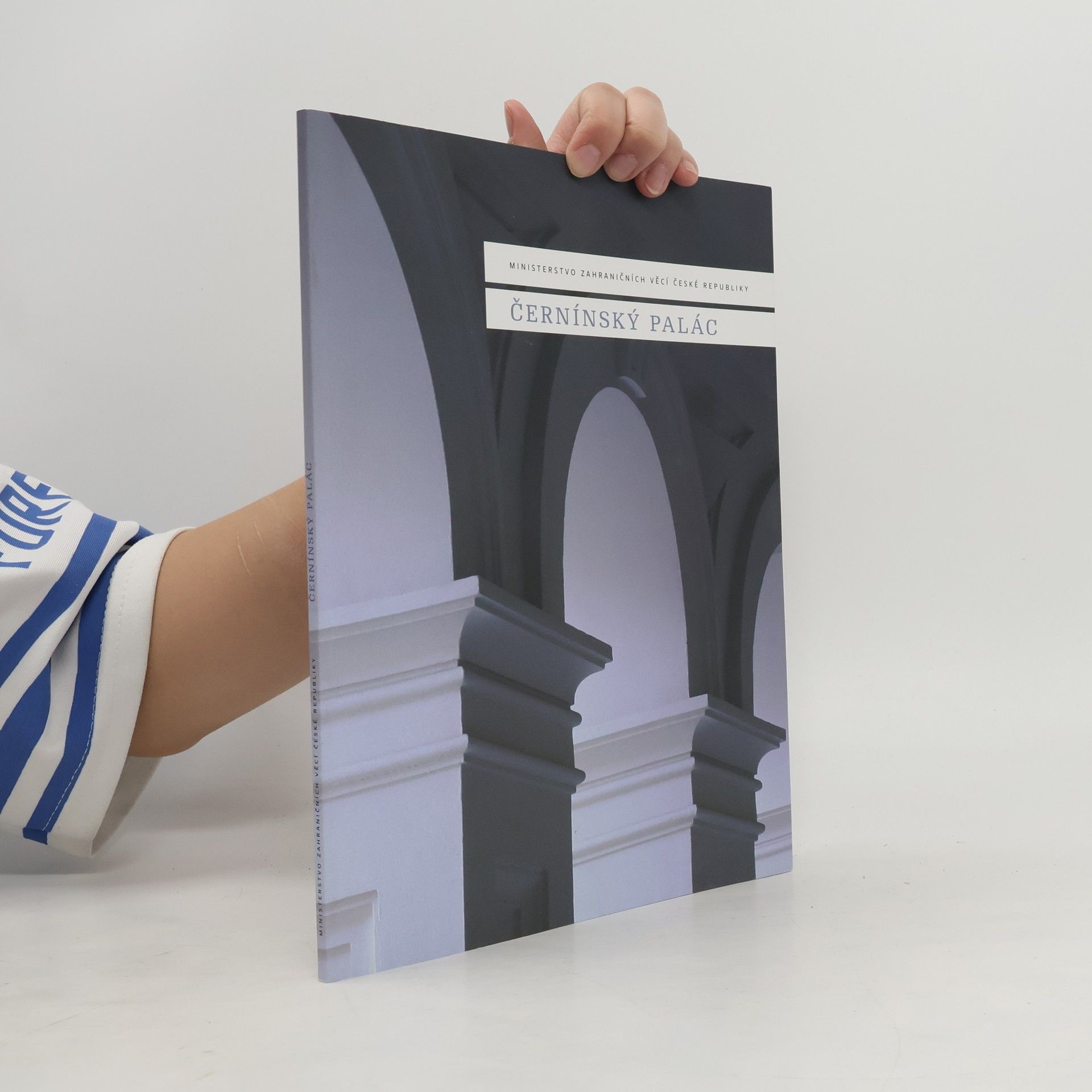 Kolektiv autorů Černínský palác