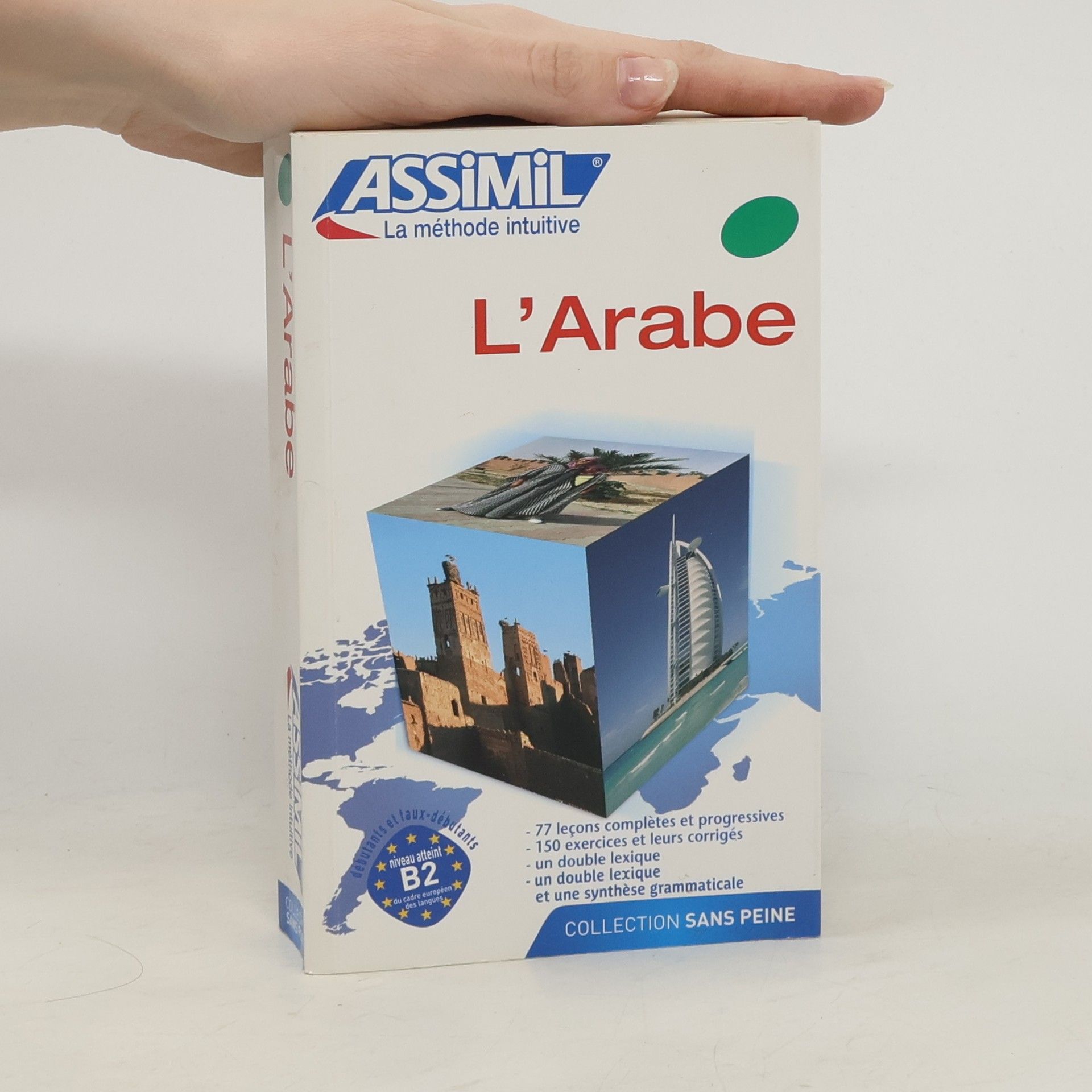 Dominique Halbout L'arabe