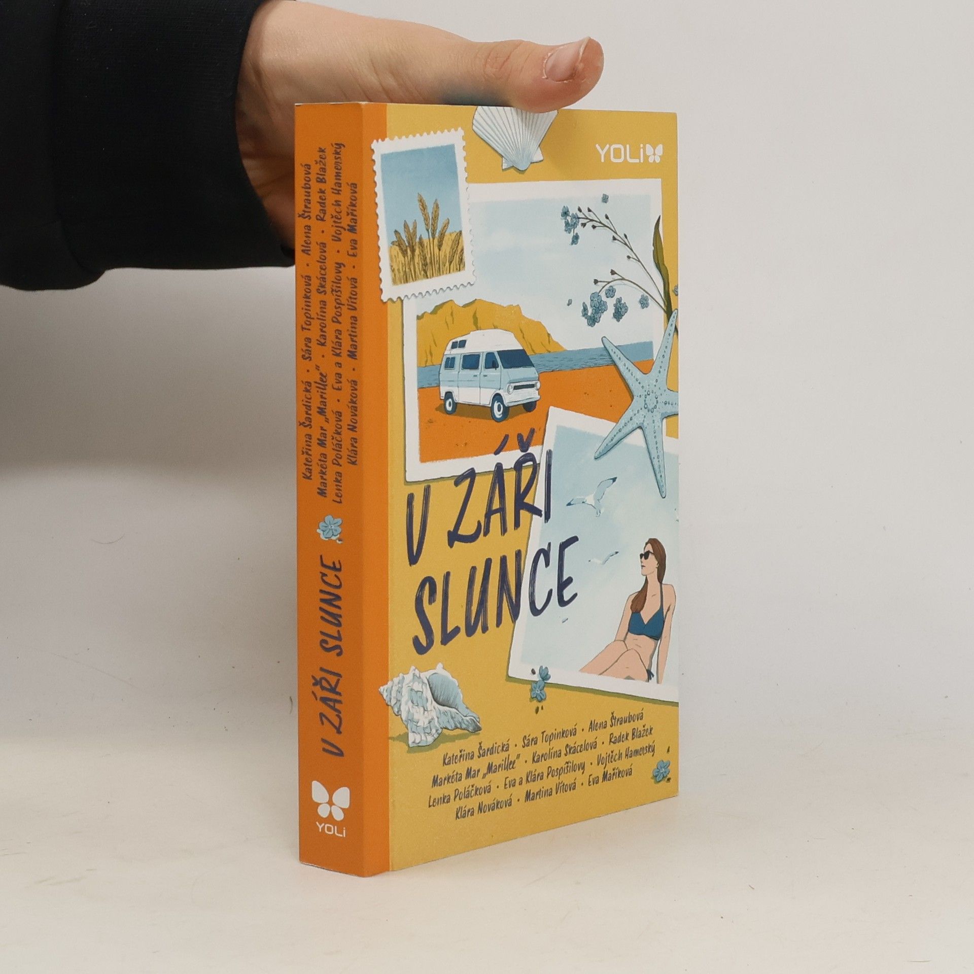 Kolektiv autorů V záři slunce