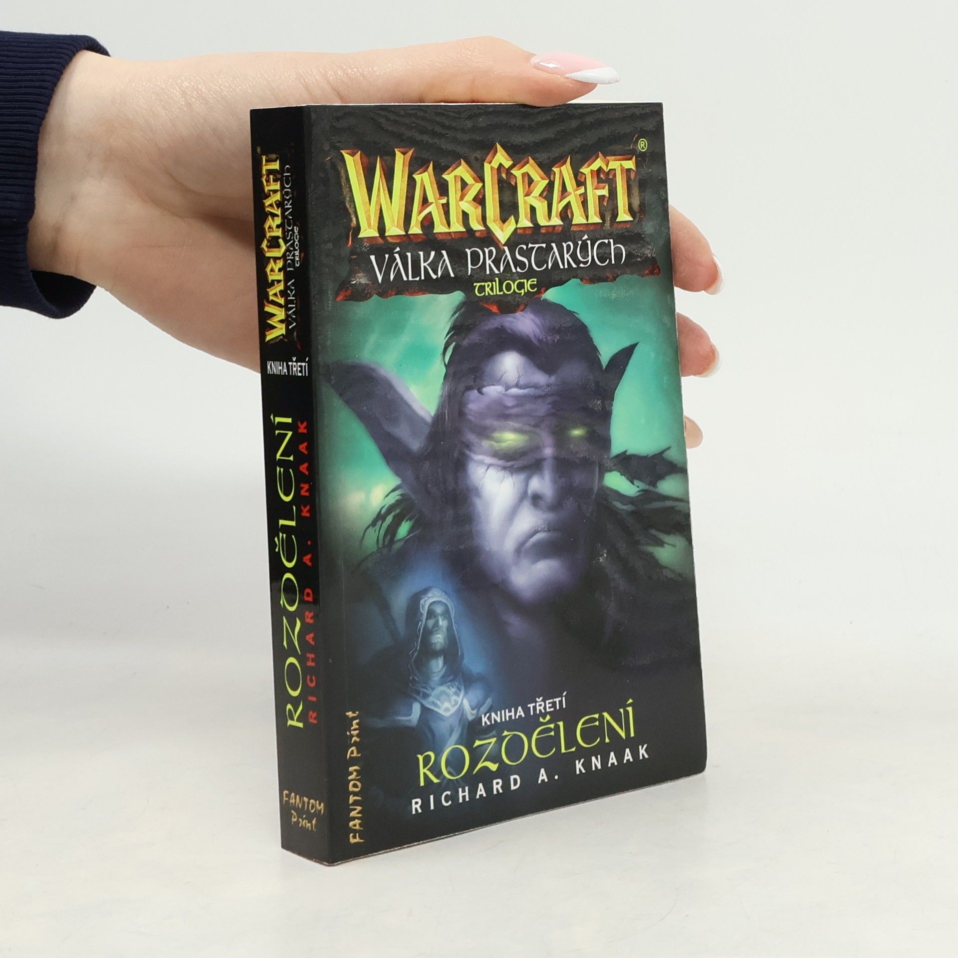 Richard A. Knaak WarCraft - Válka prastarých. Kniha třetí, Rozdělení