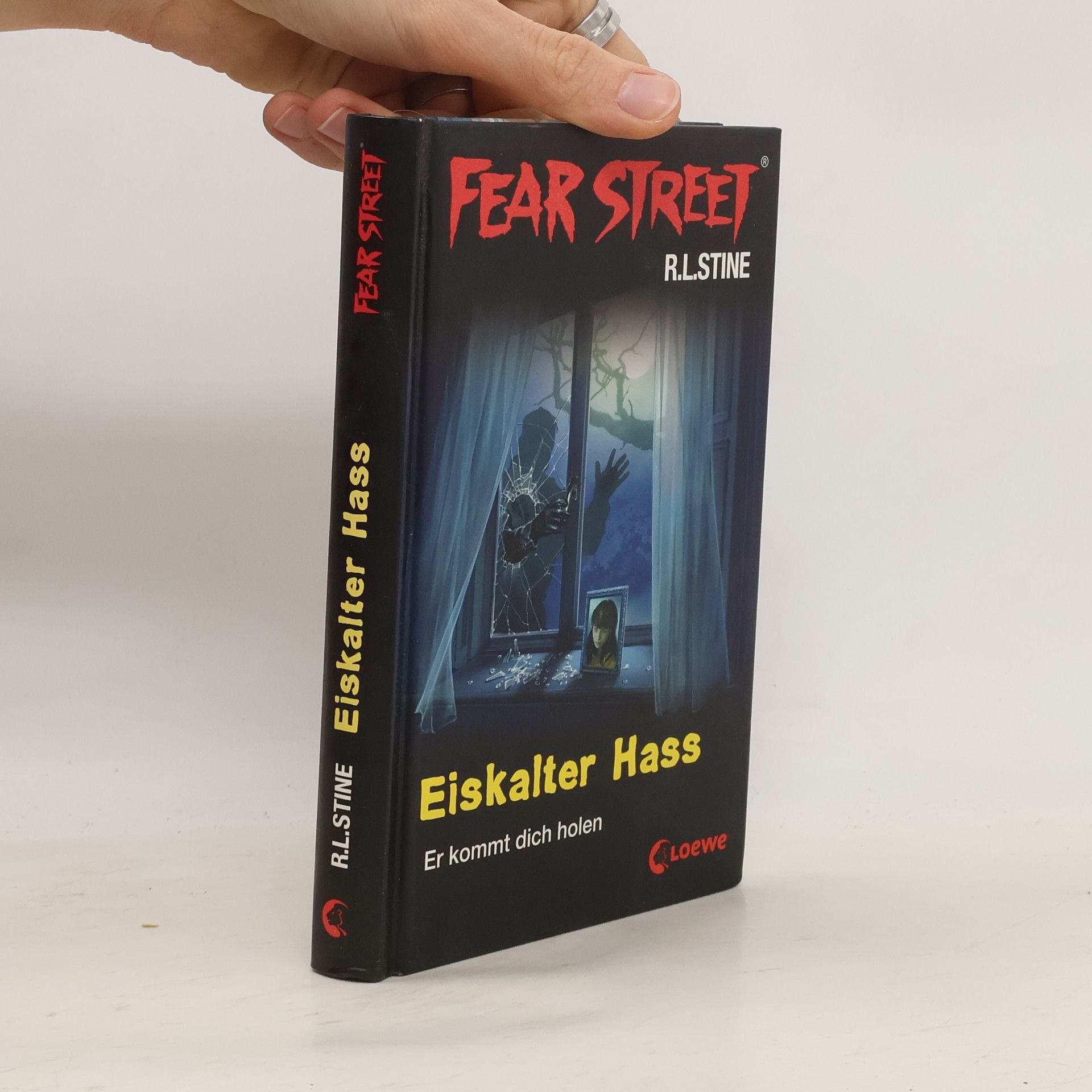 R. L. Stine Eiskalter Hass
