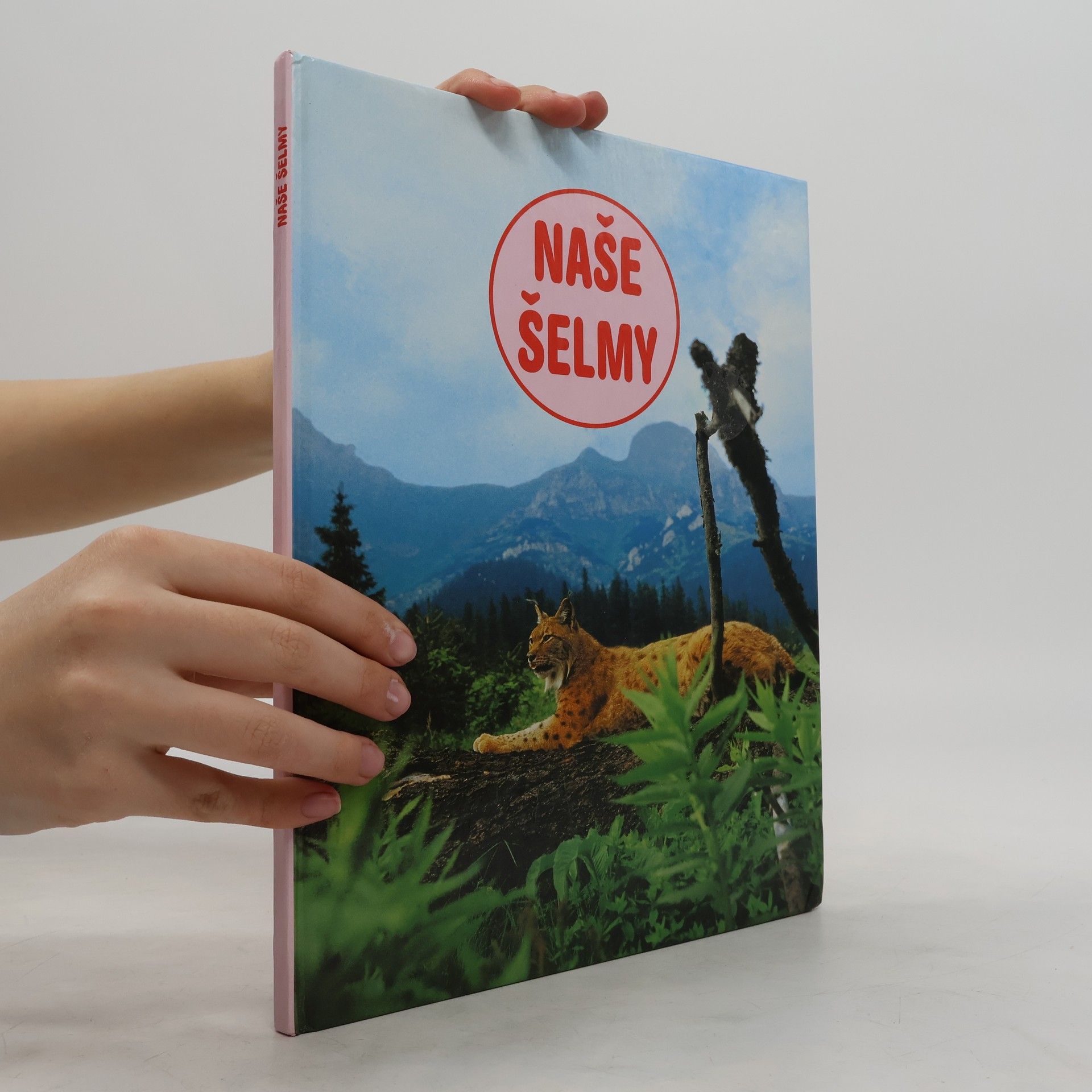 Autorenkollektiv Naše šelmy