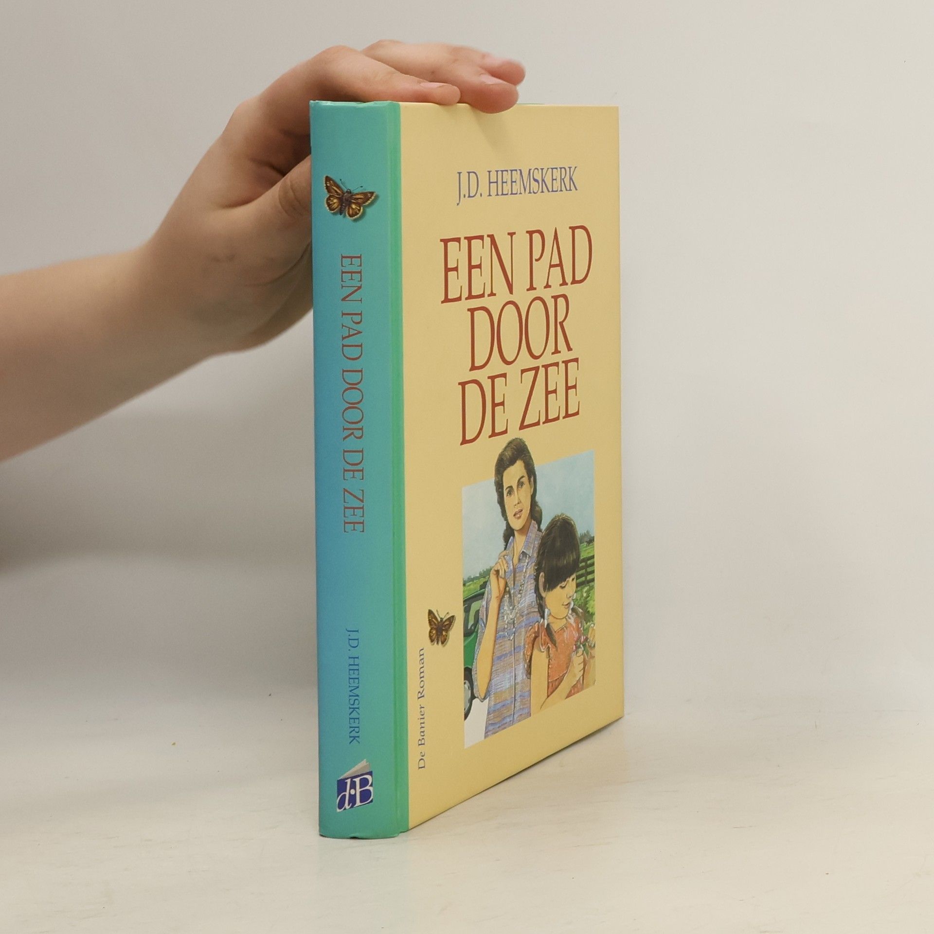 J.D. Heemskerk Een pad door de zee