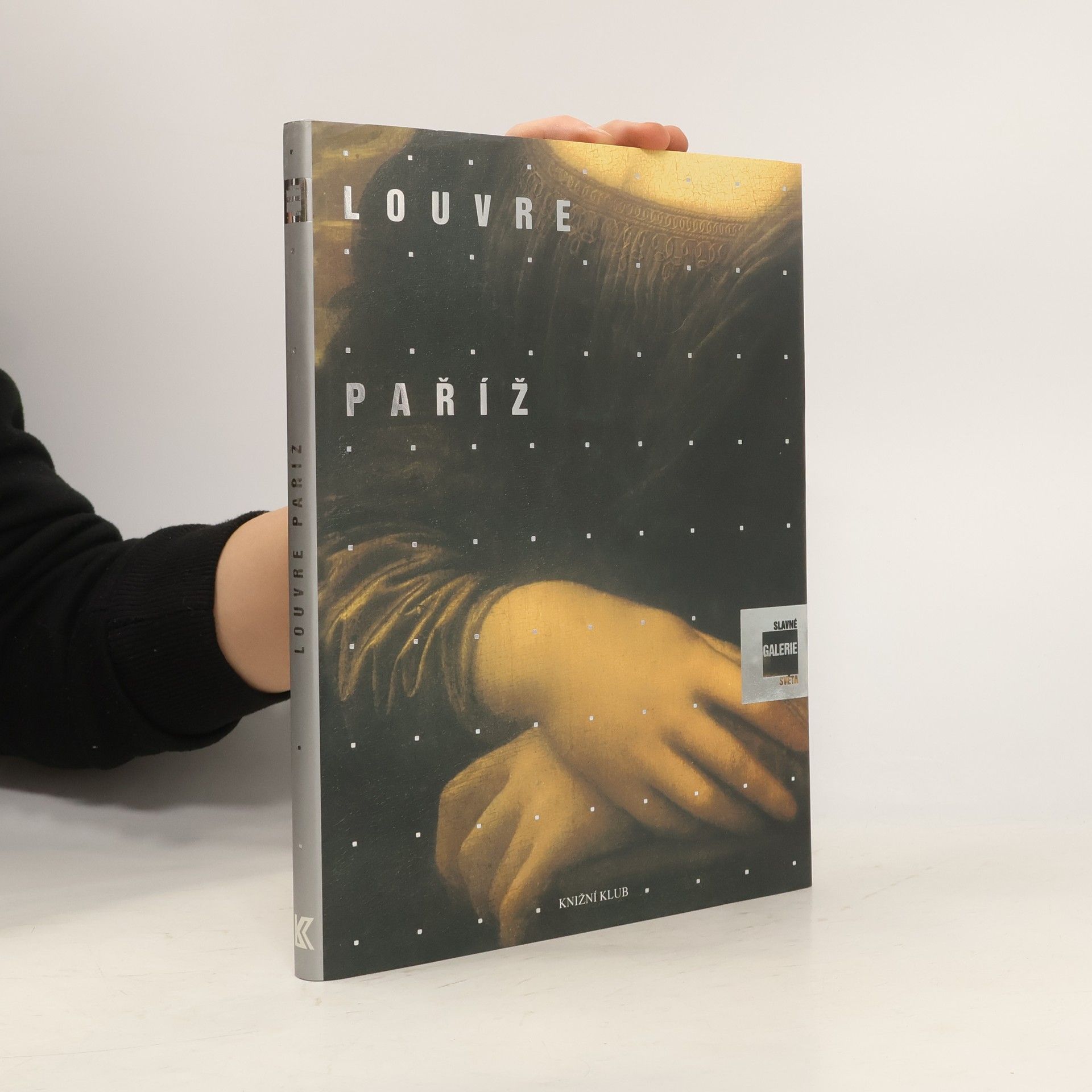 Alessandra Fregolent Slavné galerie světa. Louvre - Paříž