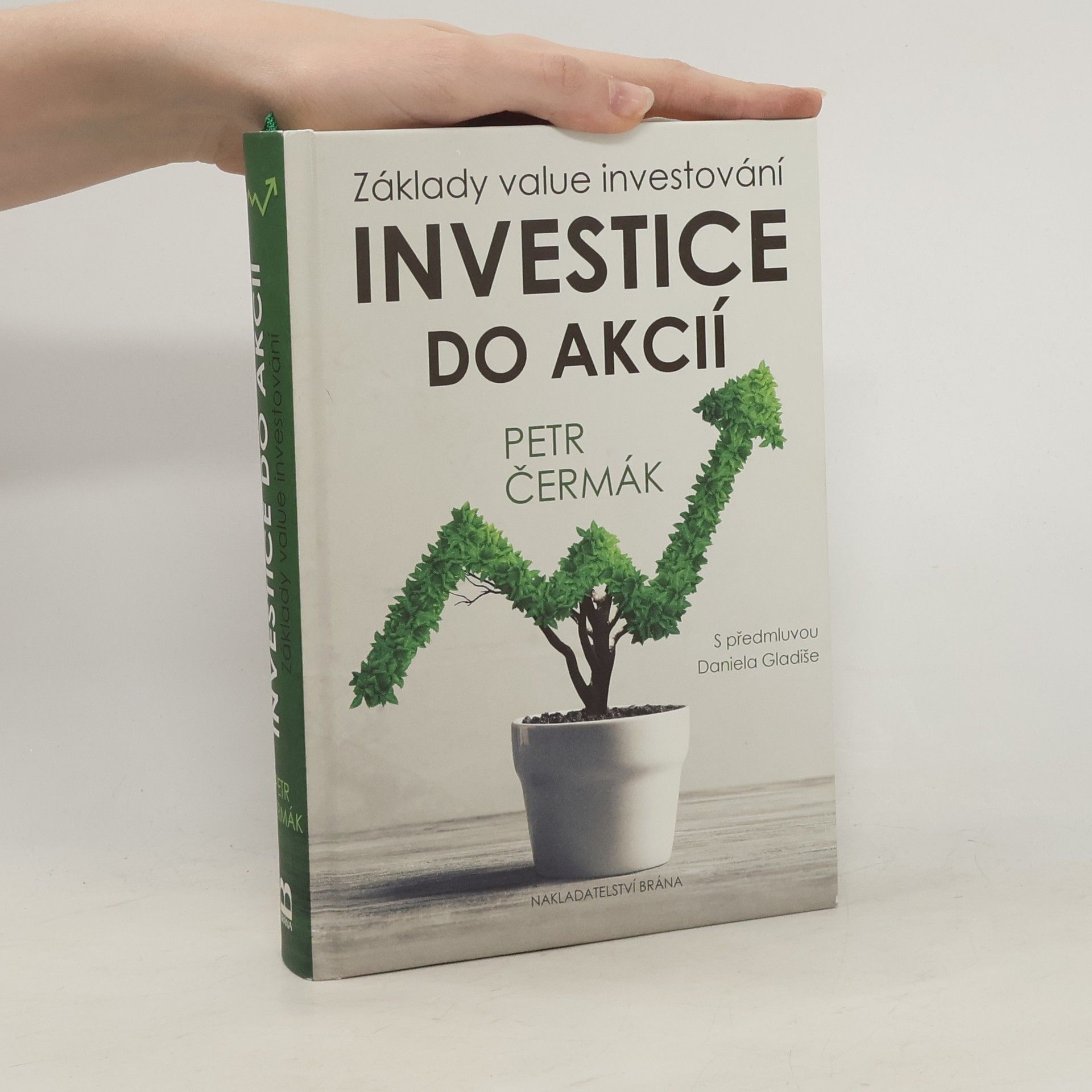 Petr Čermák Investice do akcií. Základy value investování