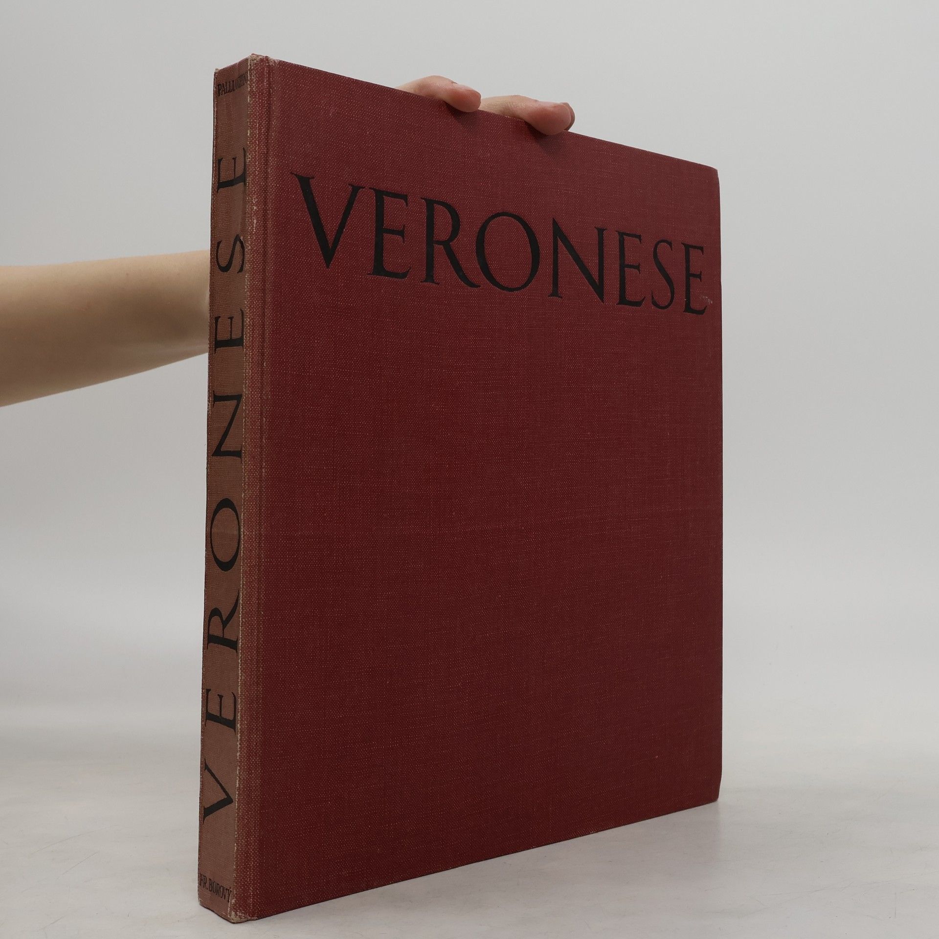 Rodolfo Palluchini Veronese