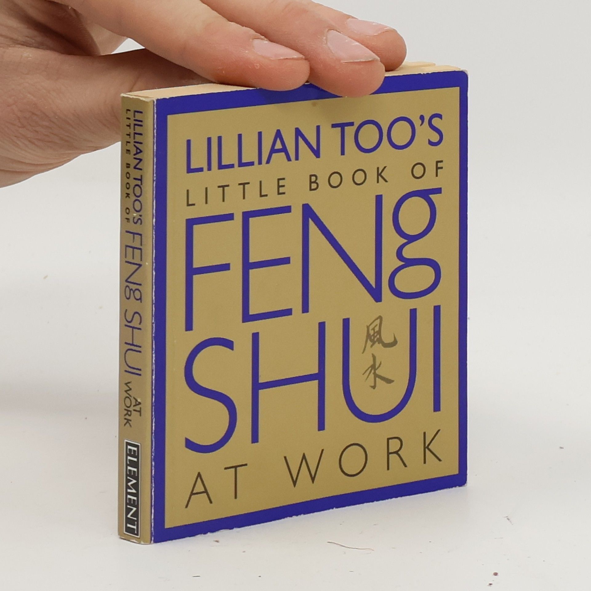 Lillian Too's Little Book of Feng Shui at Work
