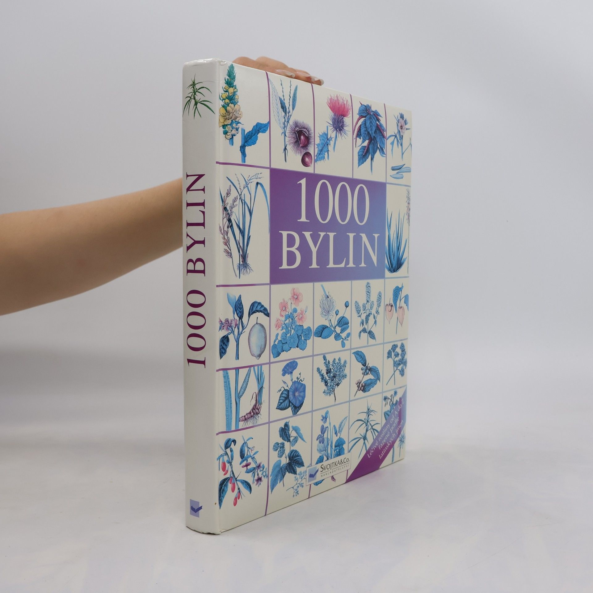 Autorenkollektiv 1000 bylin