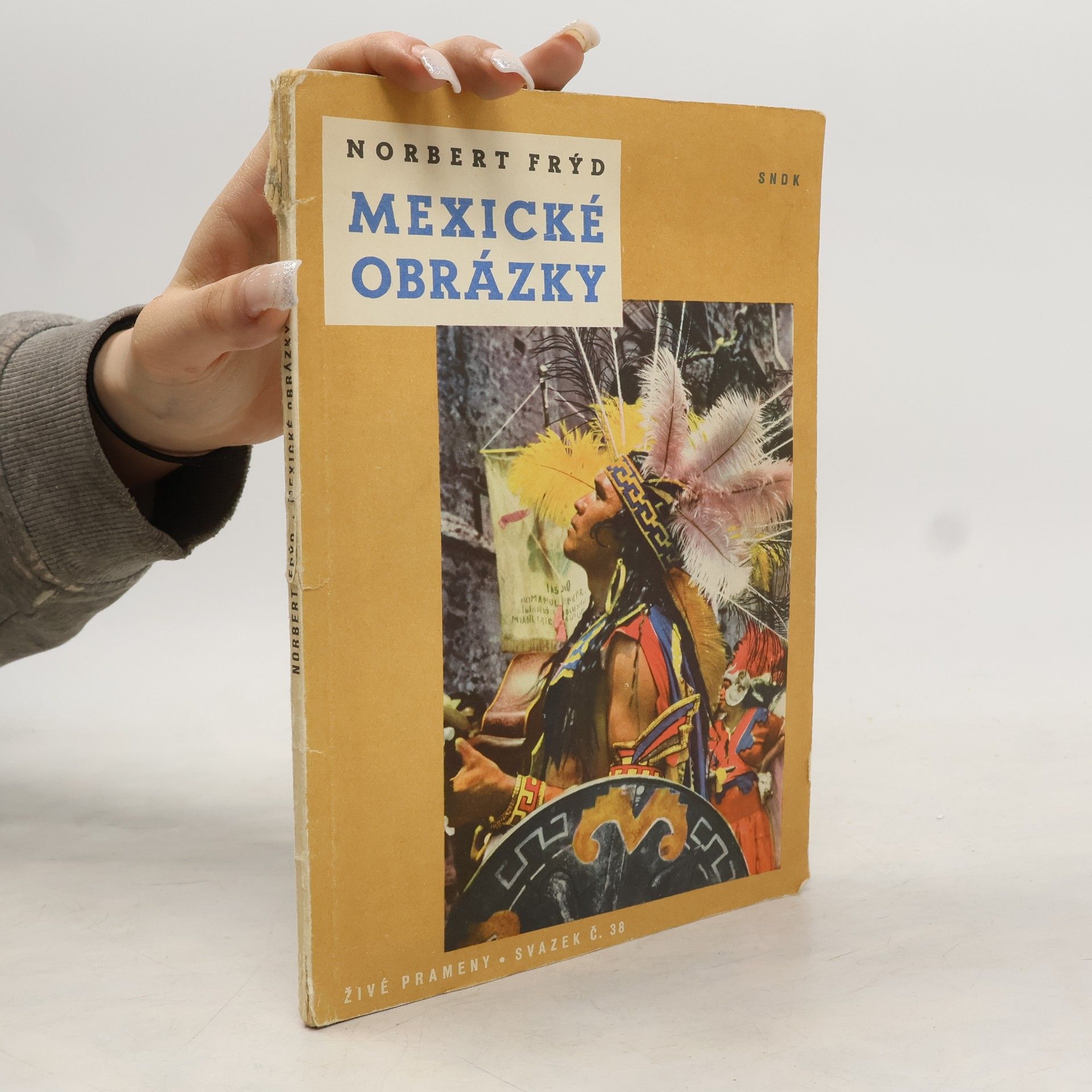 Norbert Frýd Mexické obrázky