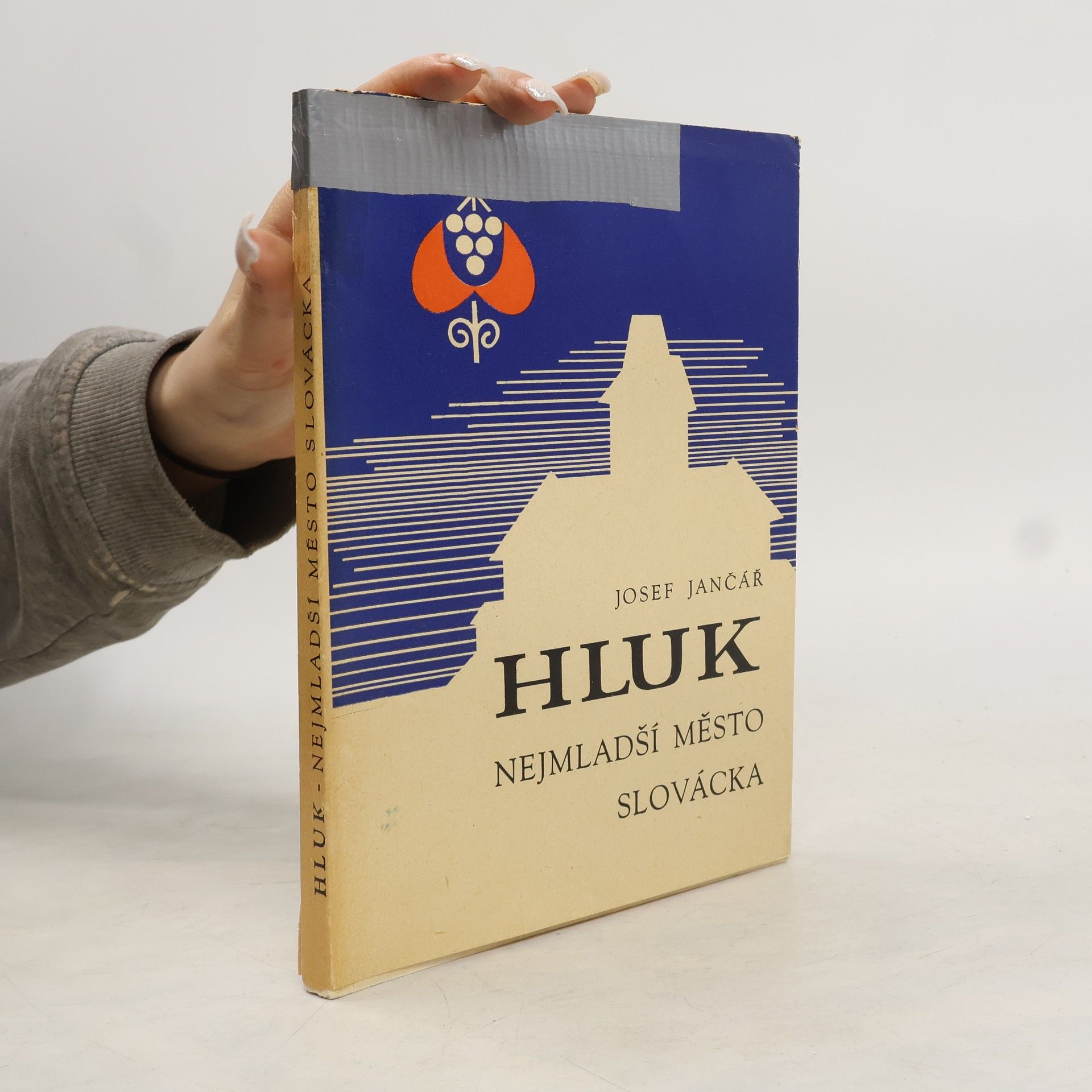 Kolektiv autorů Hluk nejmladší město Slovácka