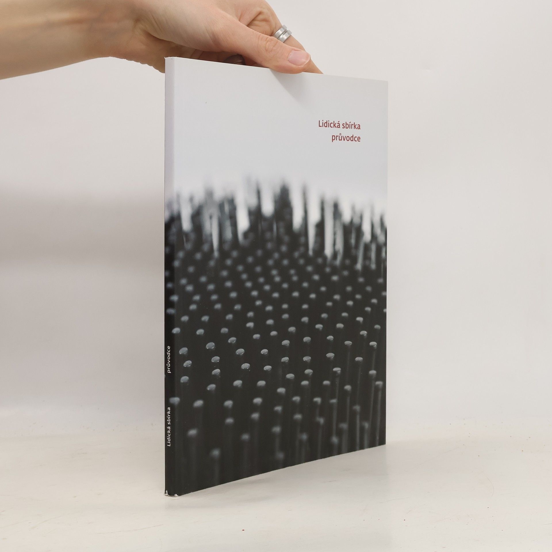 Autorenkollektiv Lidická sbírka. Průvodce