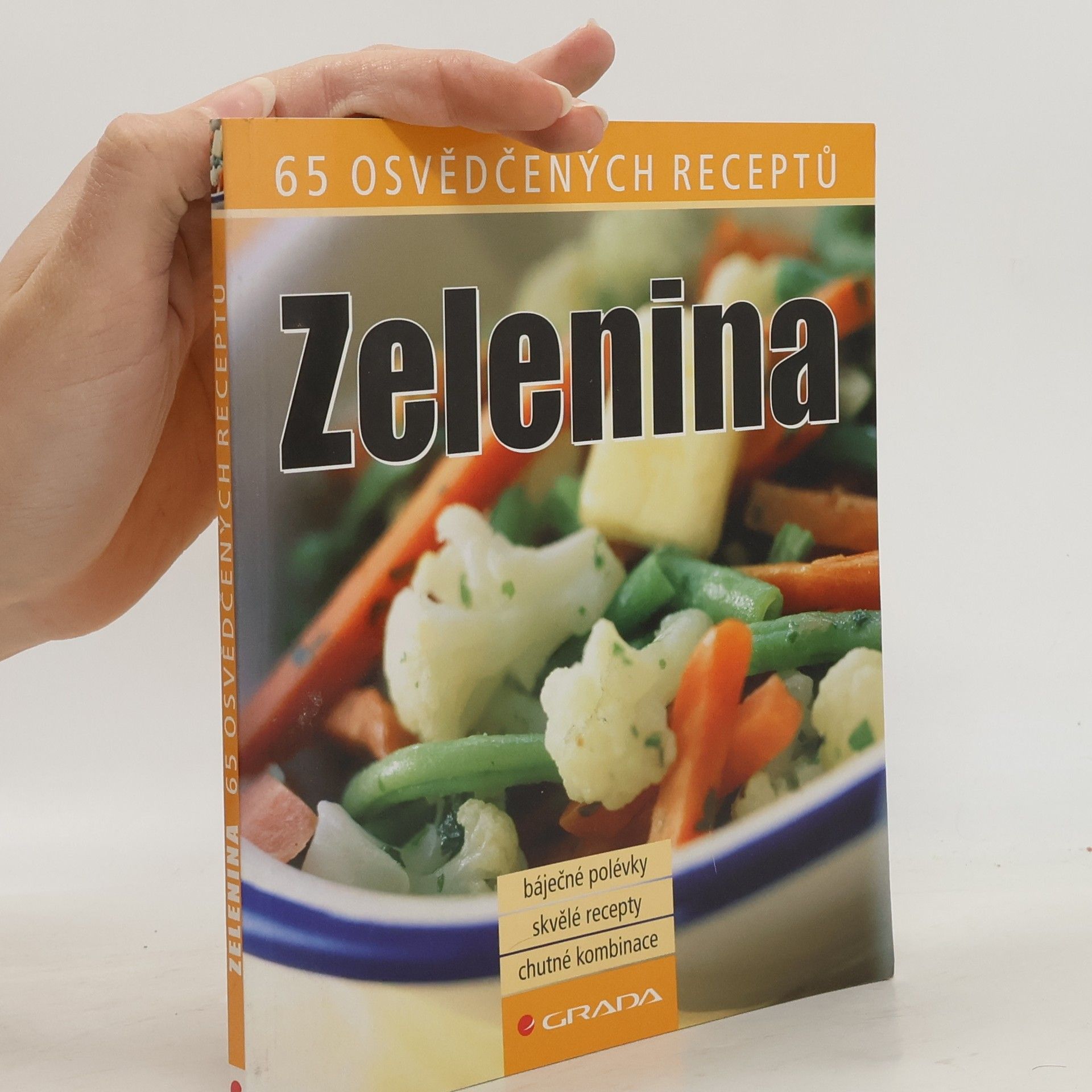Auteurscollectief Zelenina 65 osvědčených receptů