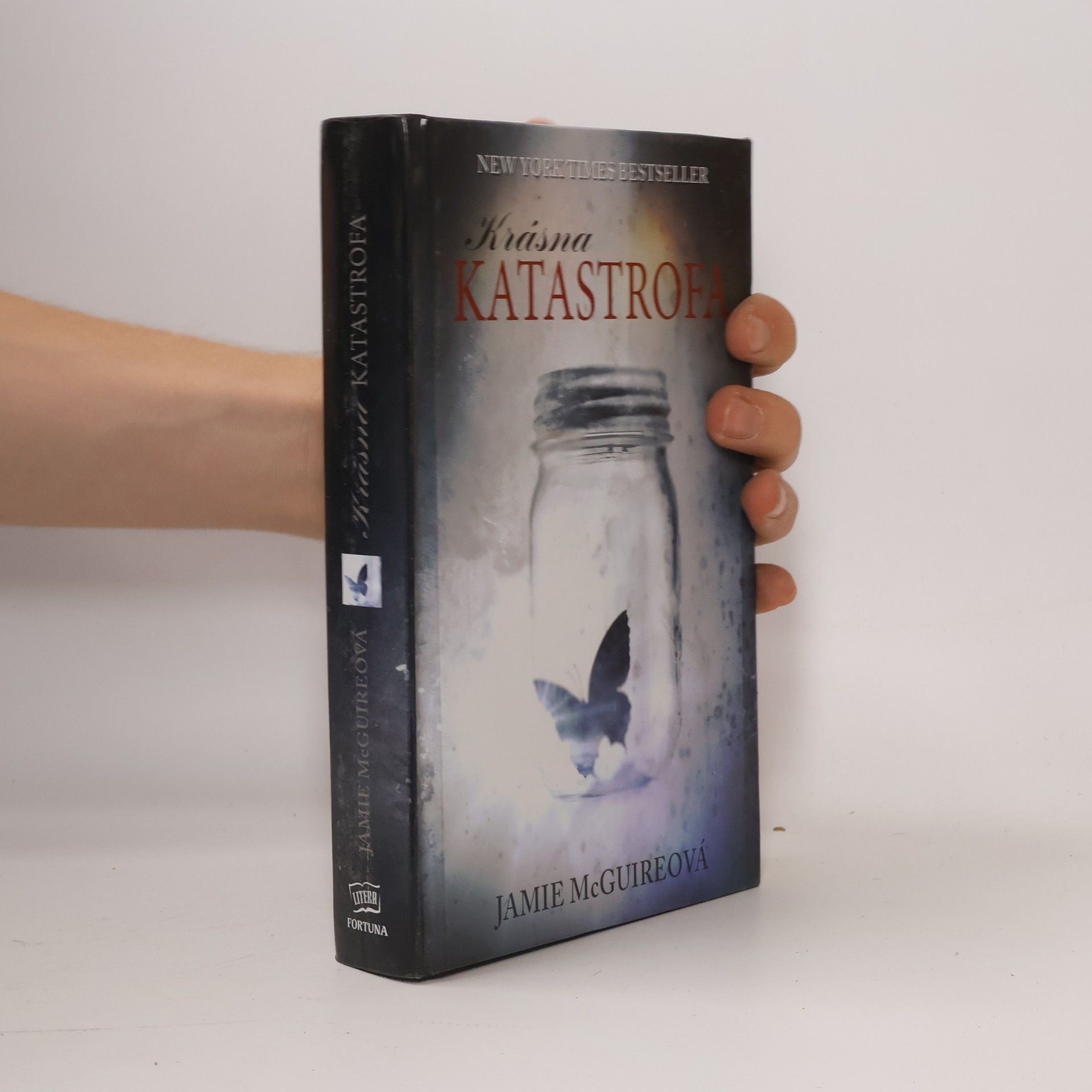 Jamie McGuire Krásná katastrofa