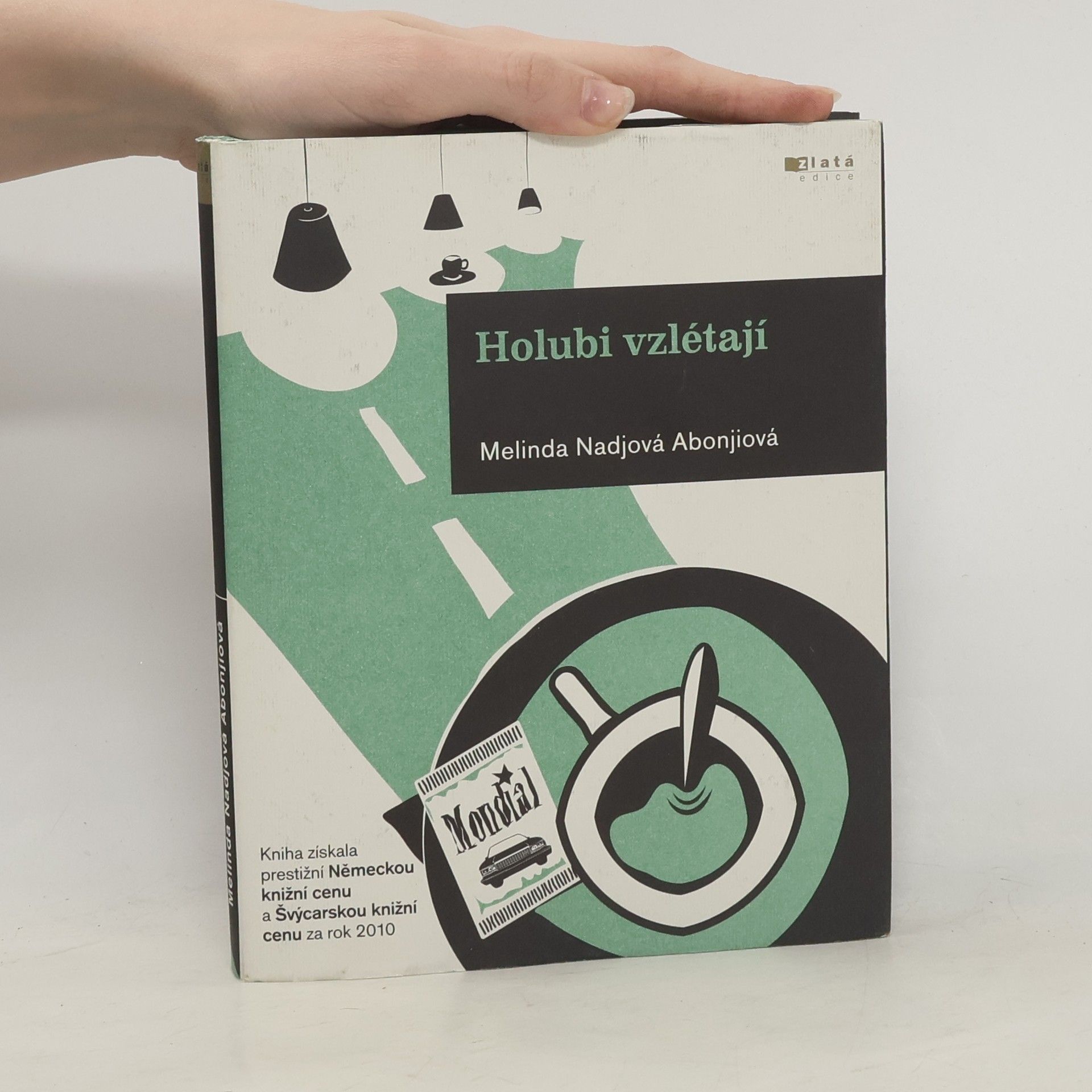 Melinda Nadj Abonji Holubi vzlétají