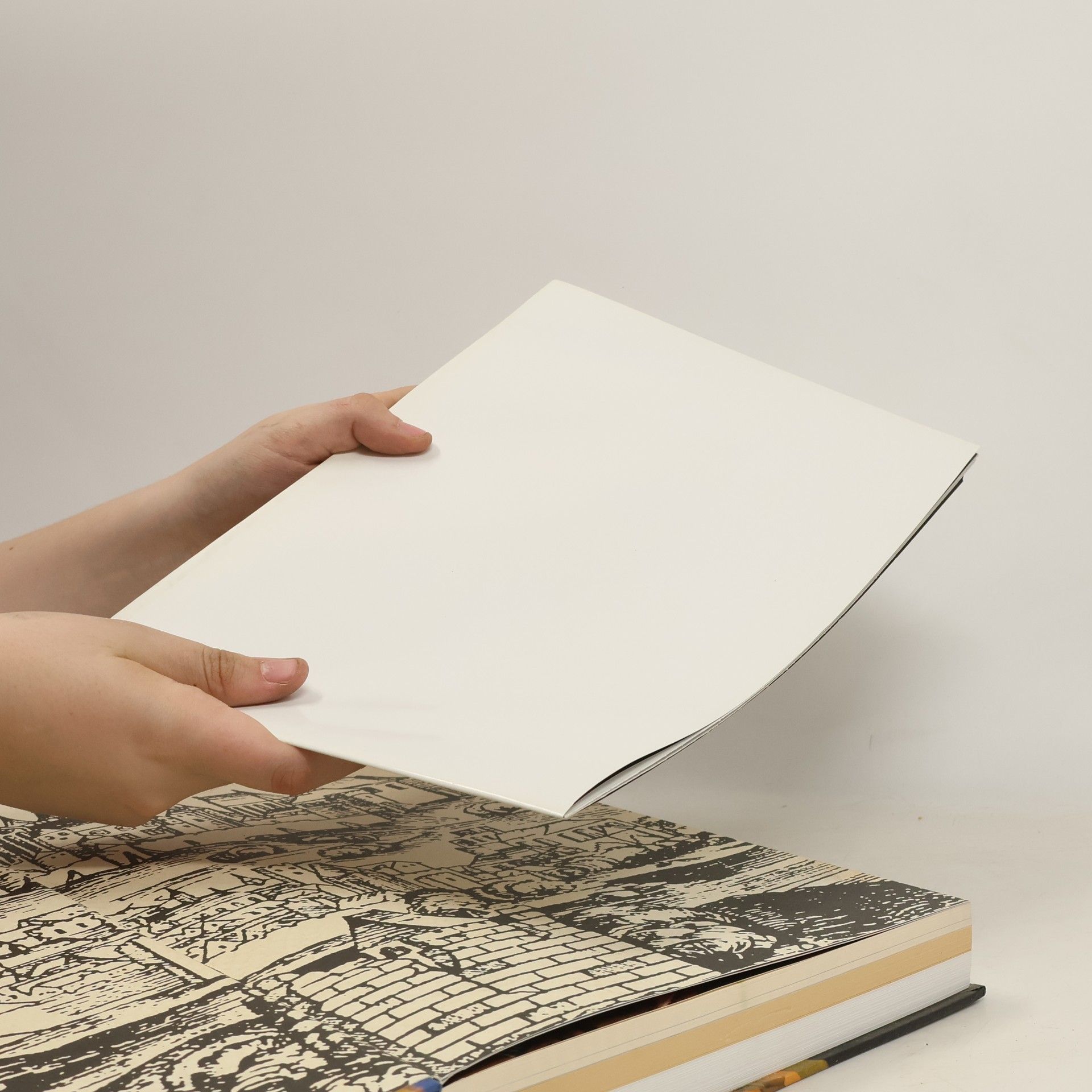 Autorenkollektiv Pražský hrad. Historie a papírový model