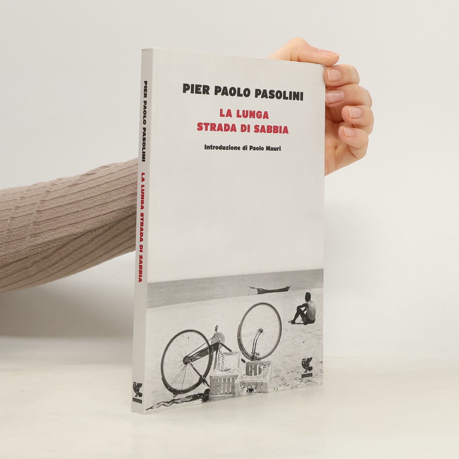 La lunga strada di sabbia