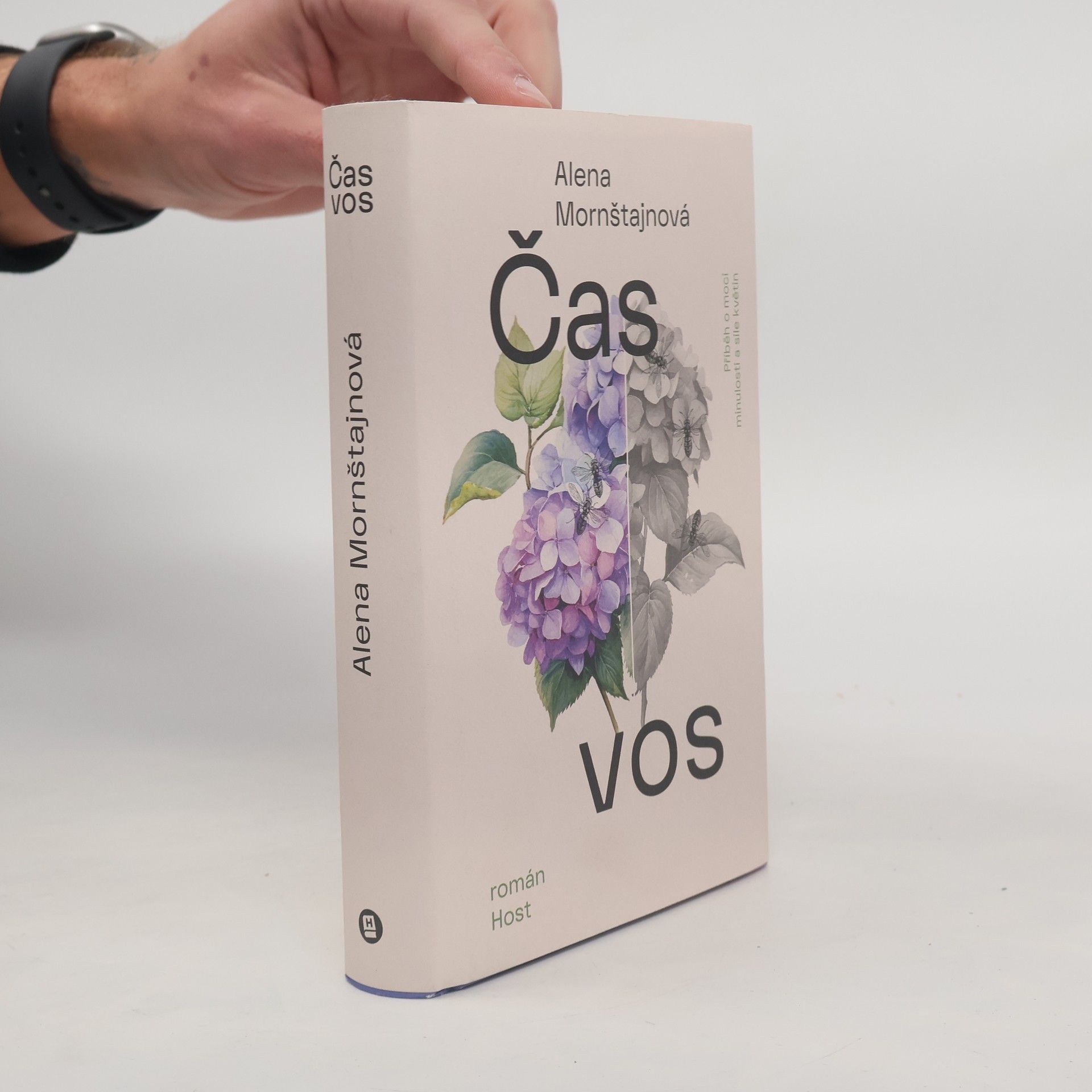 Alena Mornštajnová Čas vos