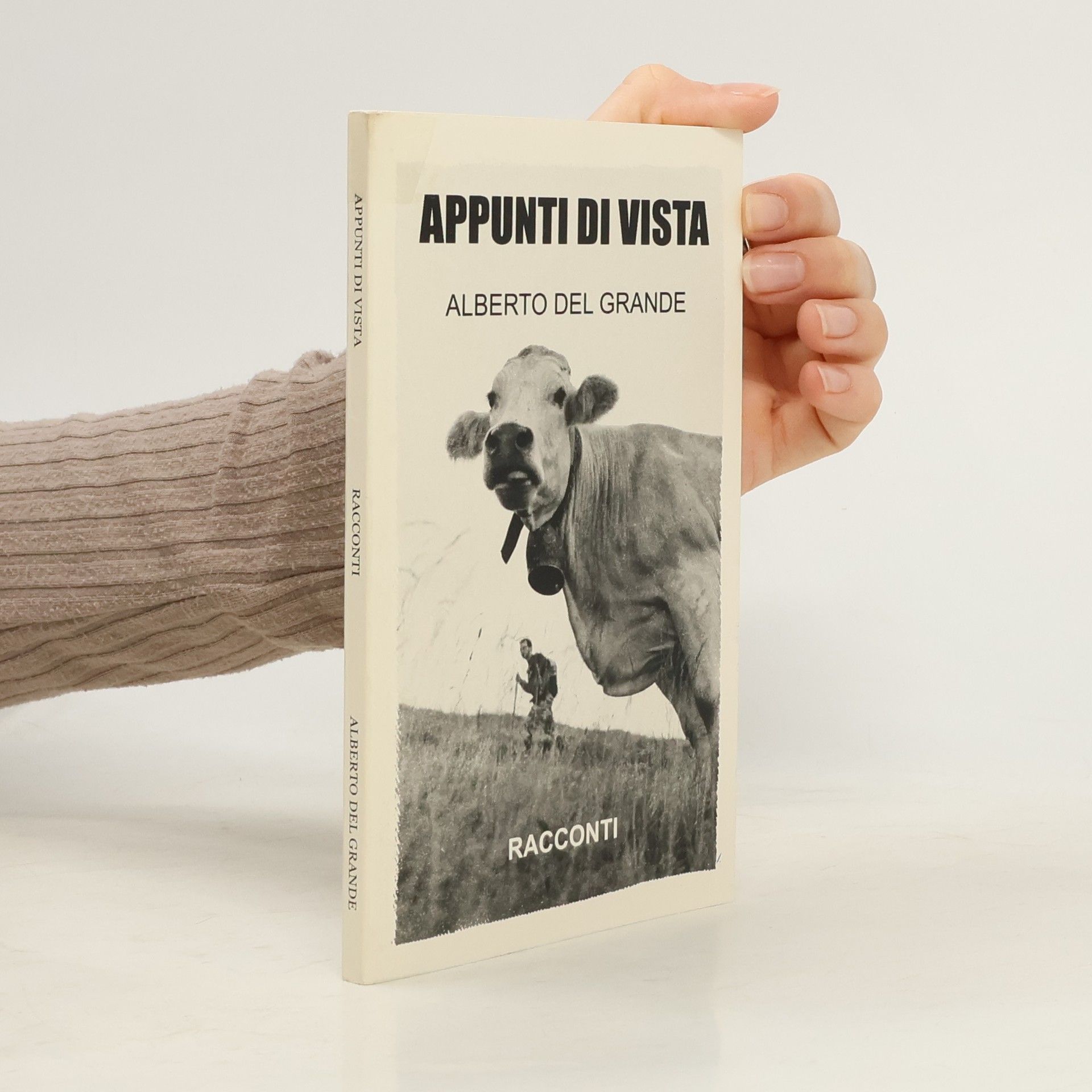 Alberto del Grande Appunti di vista