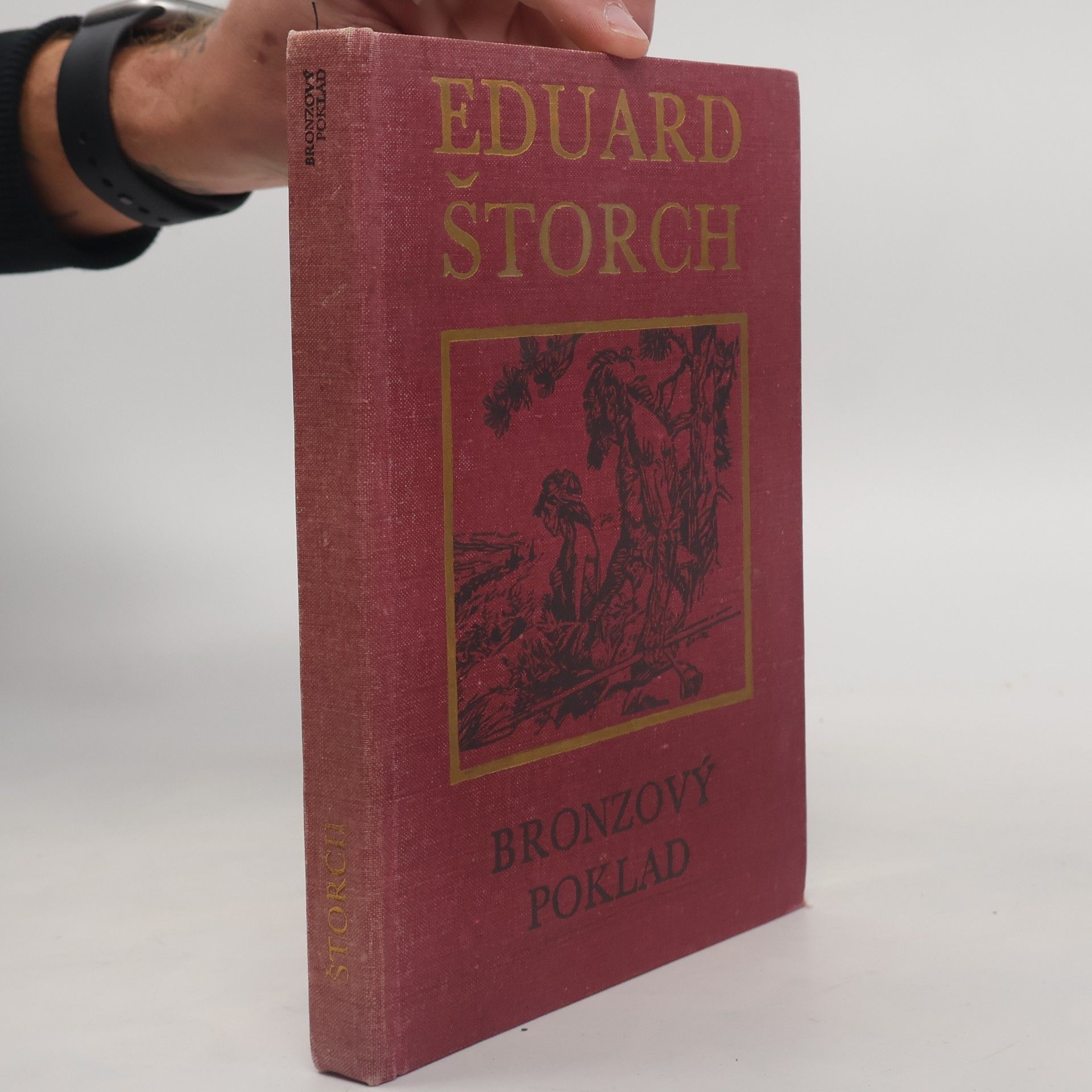 Eduard Štorch Bronzový poklad