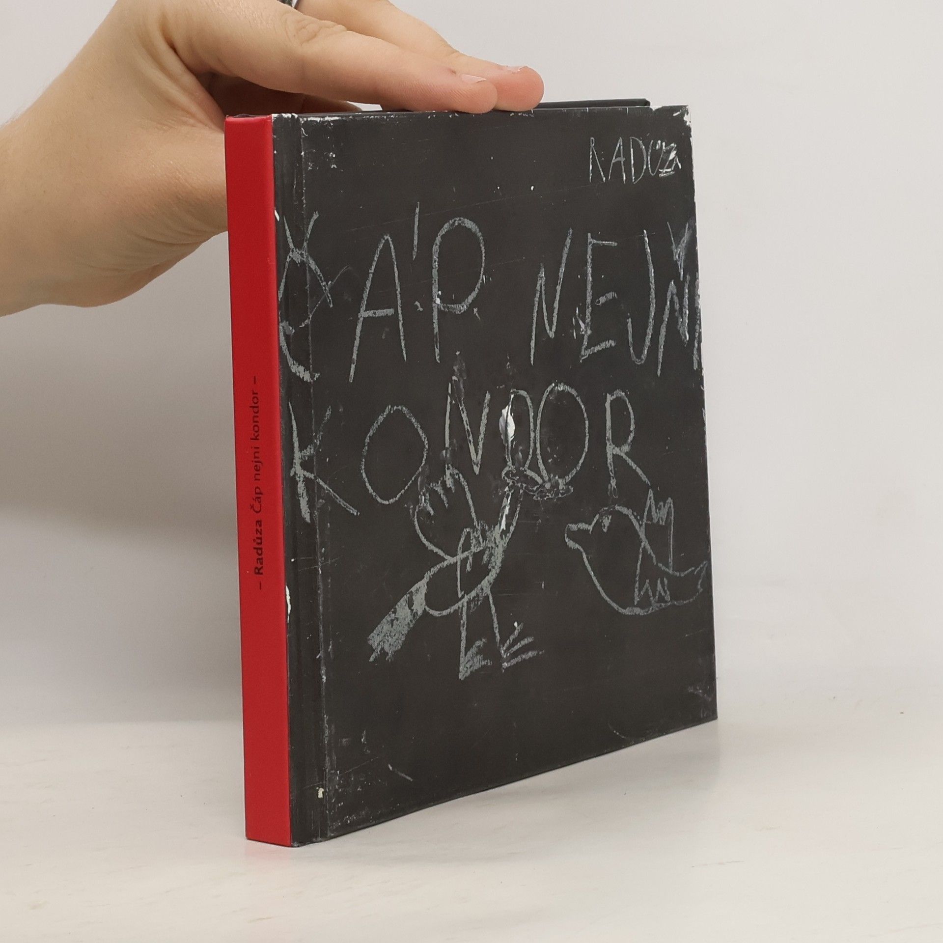 Radůza Čáp nejni kondor