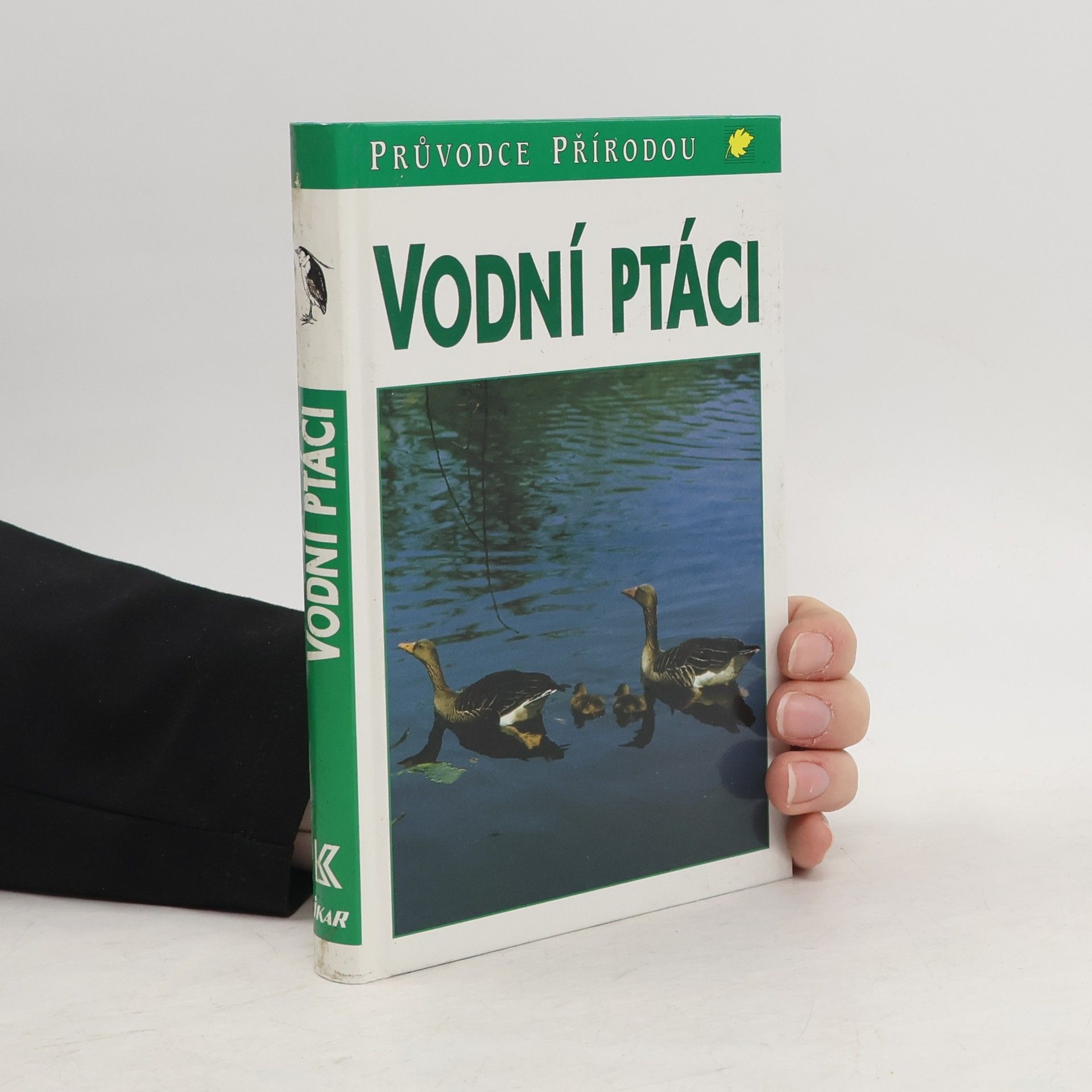 Frieder Sauer Vodní ptáci