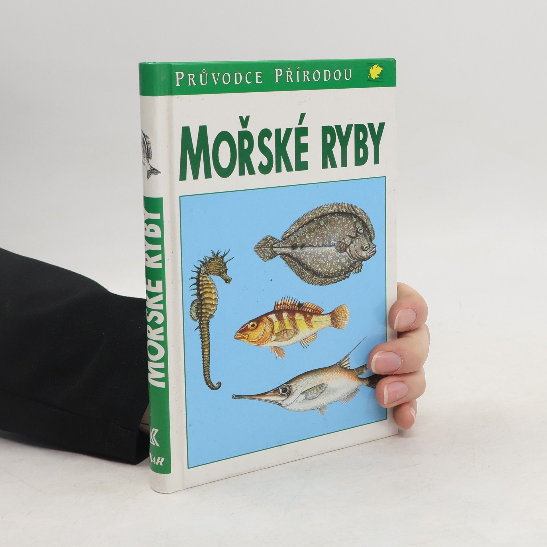 Frieder Sauer Mořské ryby v evropských vodách