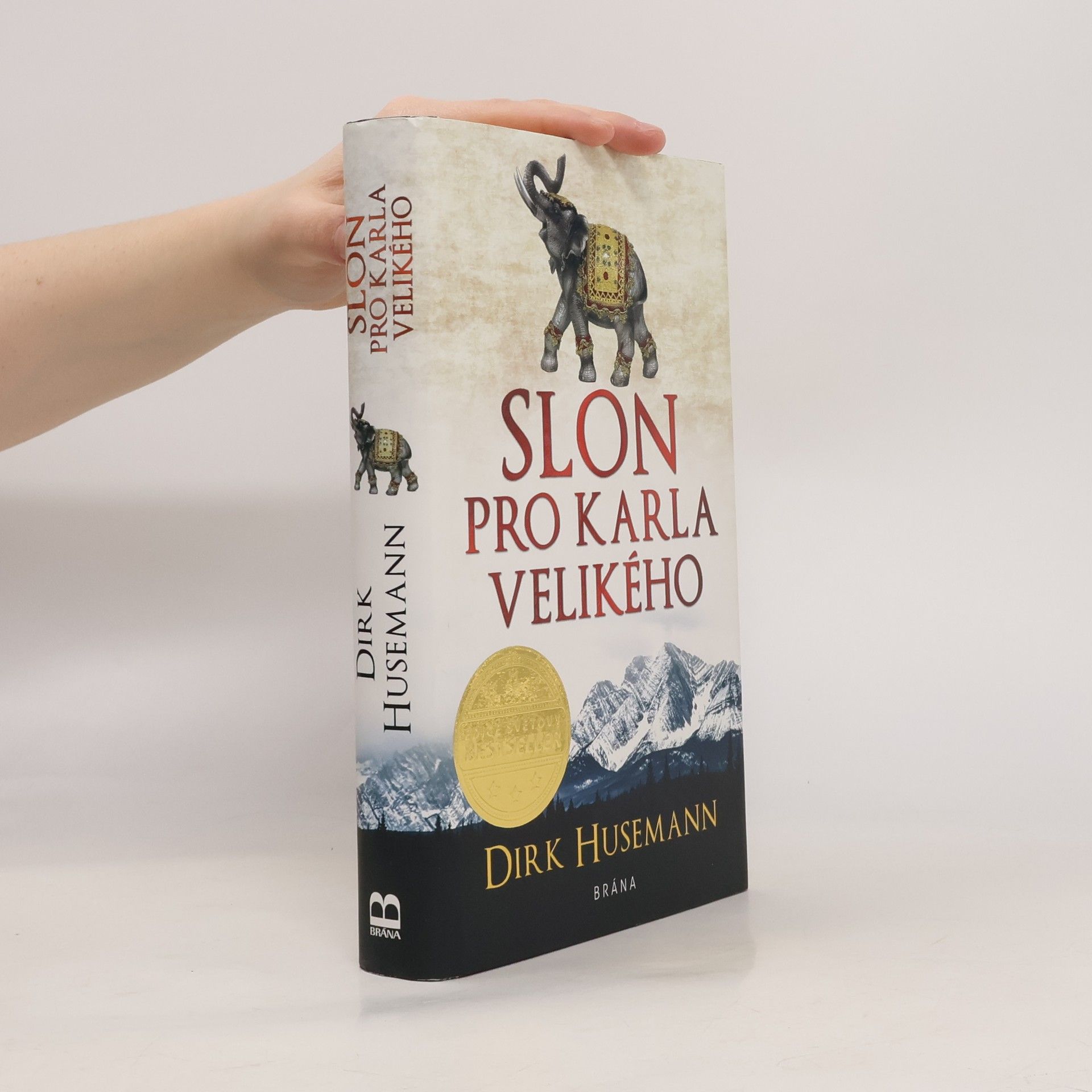 Dirk Husemann Slon pro Karla Velikého