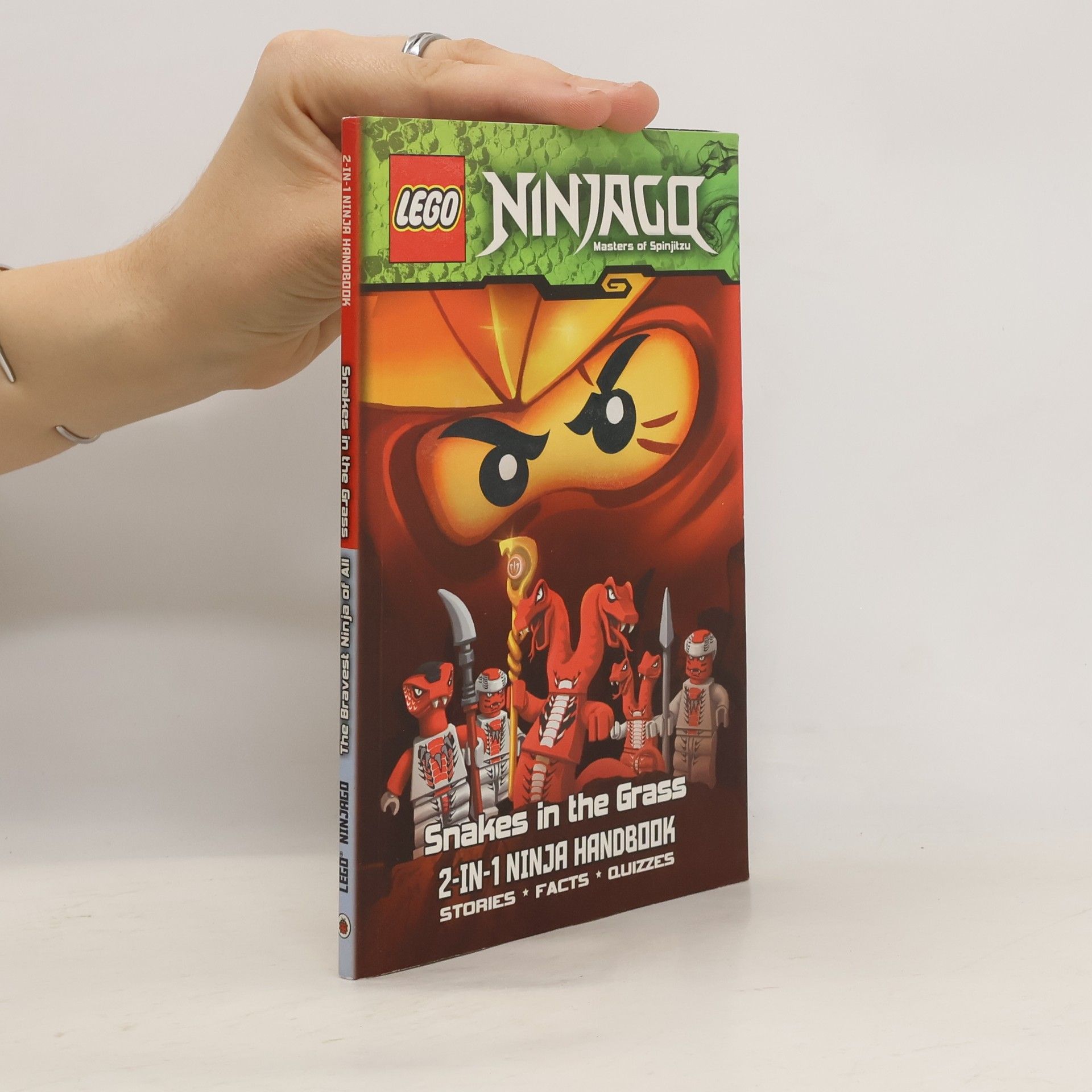 The Bravest Ninja of All