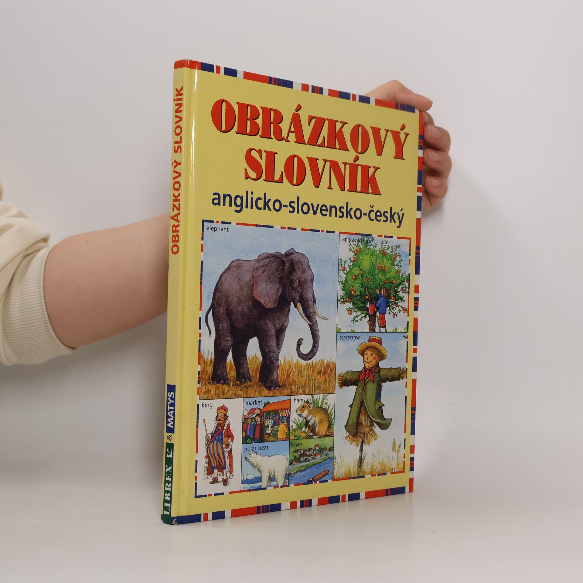 AA.VV. Obrázkový slovník anglicko-slovensko-český