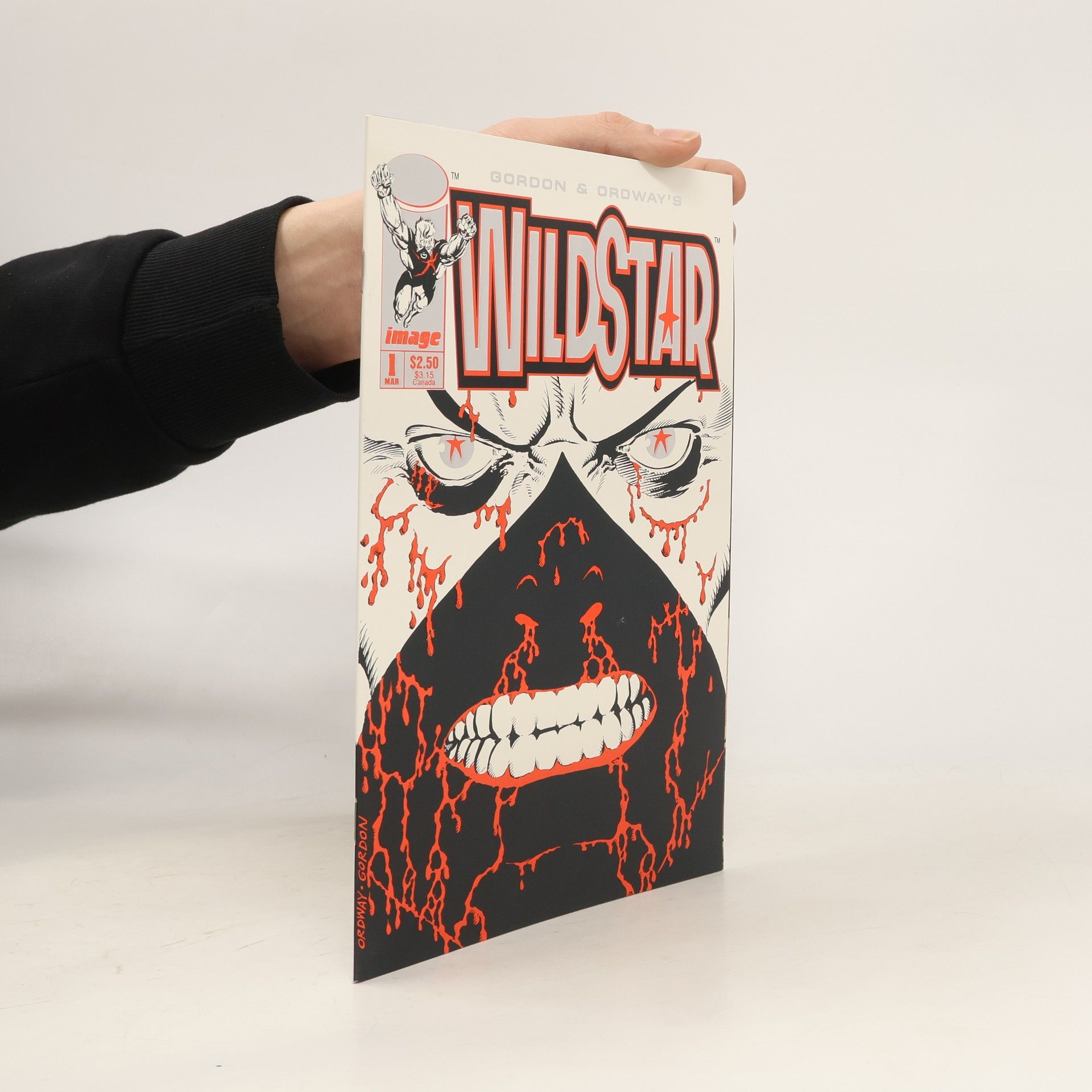 Kolektív autorov Wildstar 1