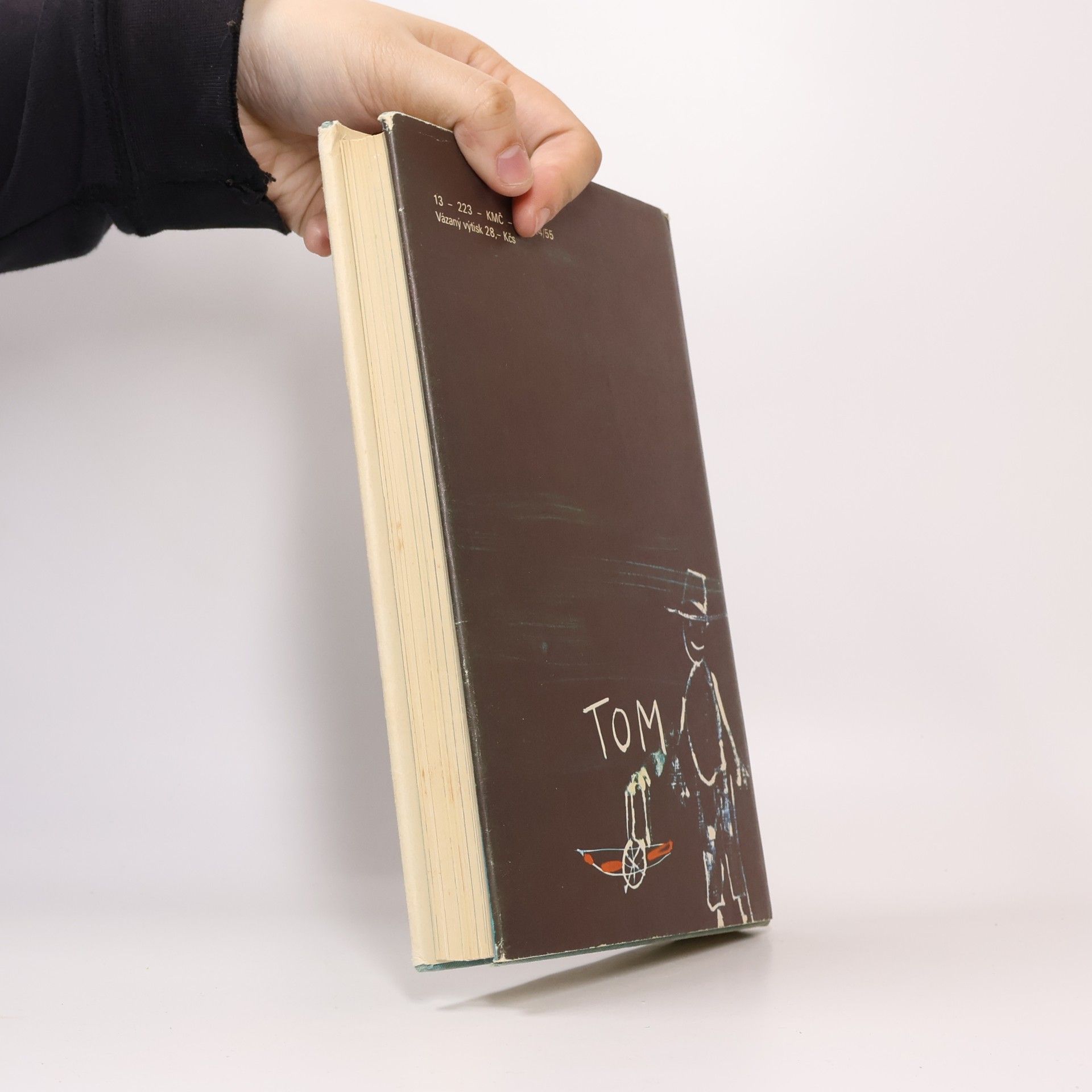 Mark Twain Dobrodružství Toma Sawyera