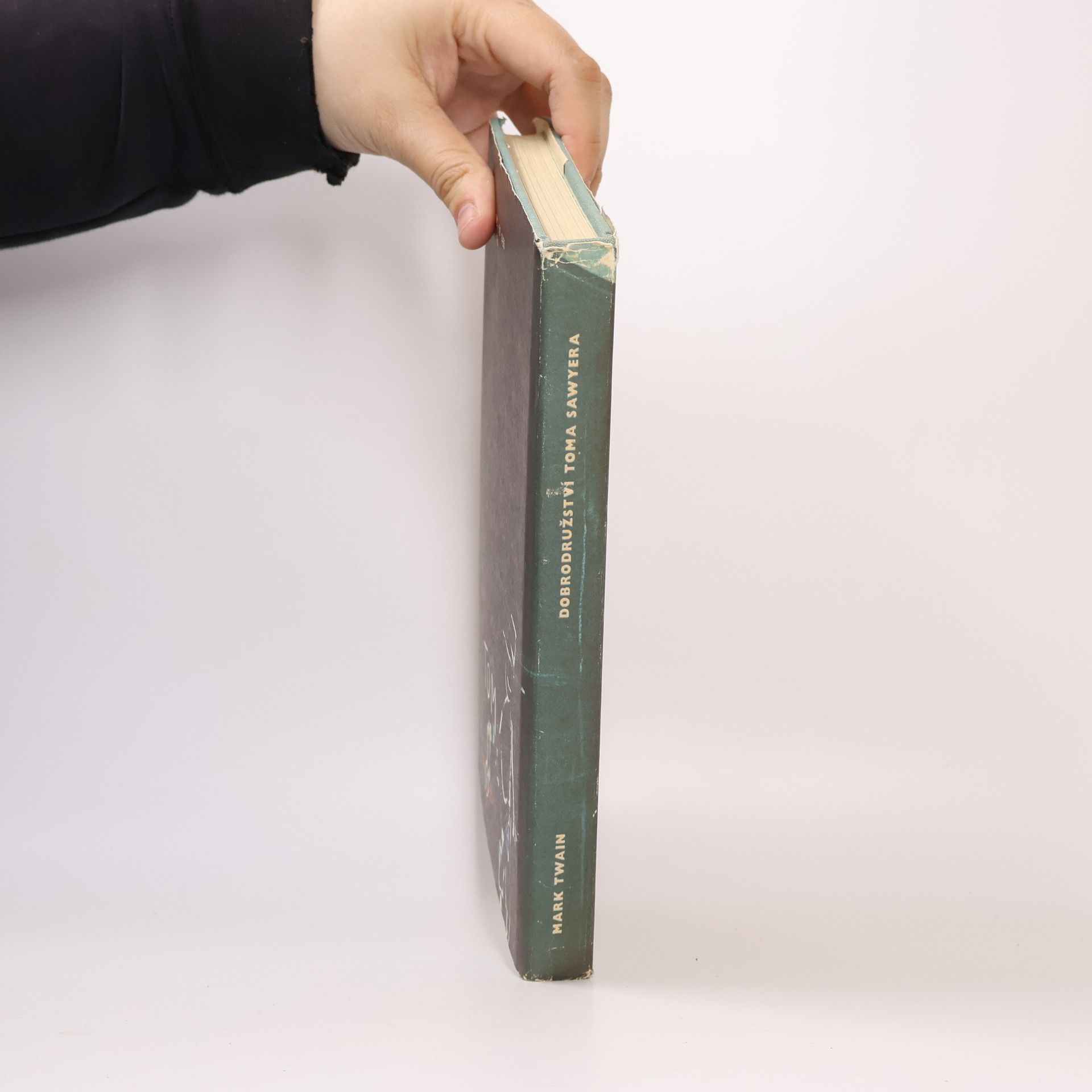 Mark Twain Dobrodružství Toma Sawyera