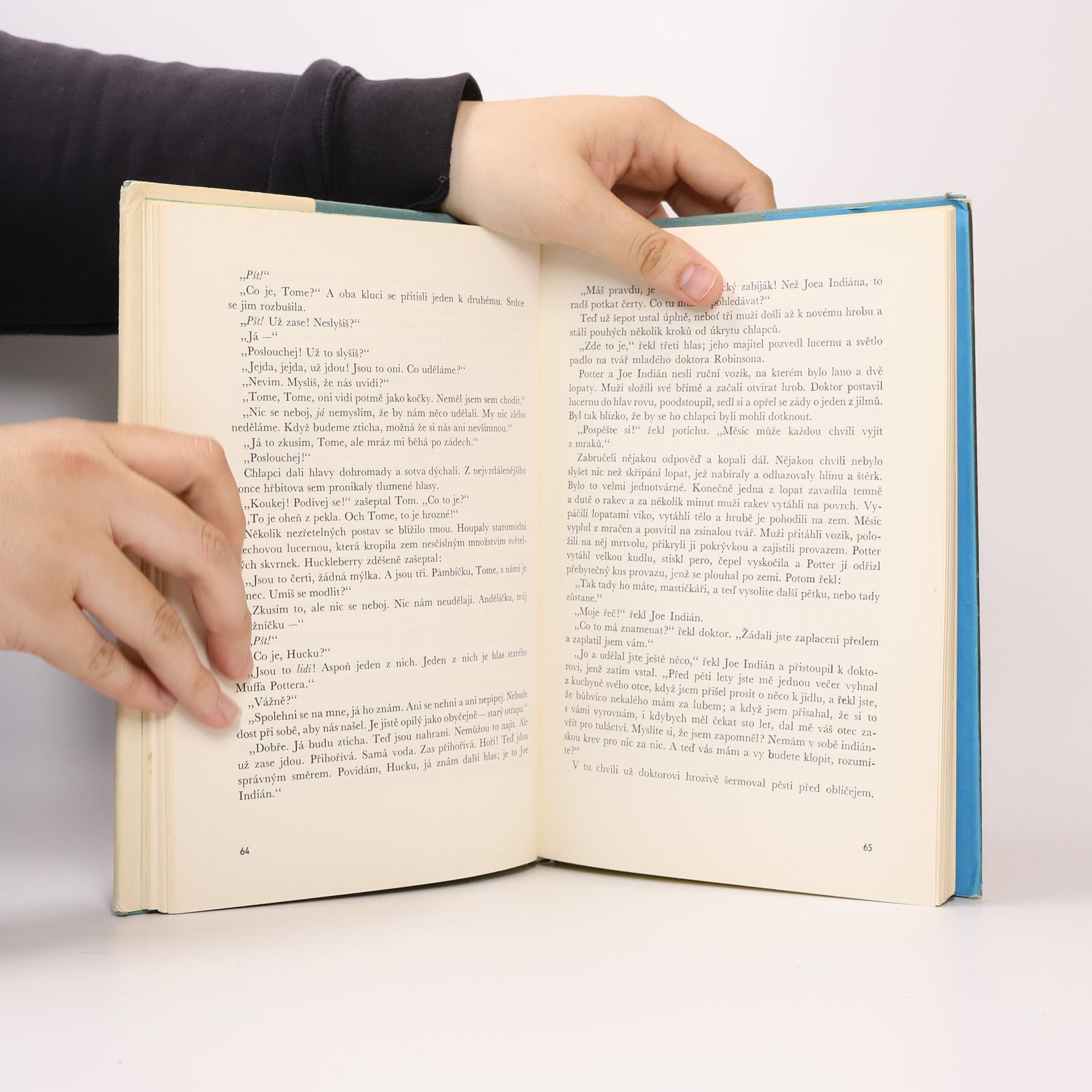 Mark Twain Dobrodružství Toma Sawyera