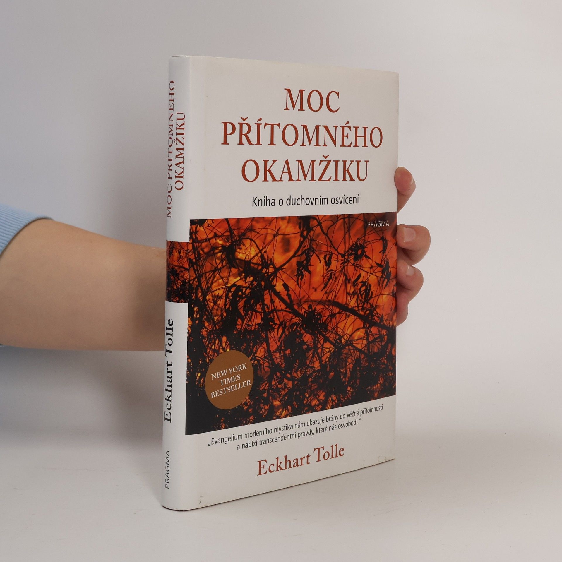 Eckhart Tolle Moc přítomného okamžiku