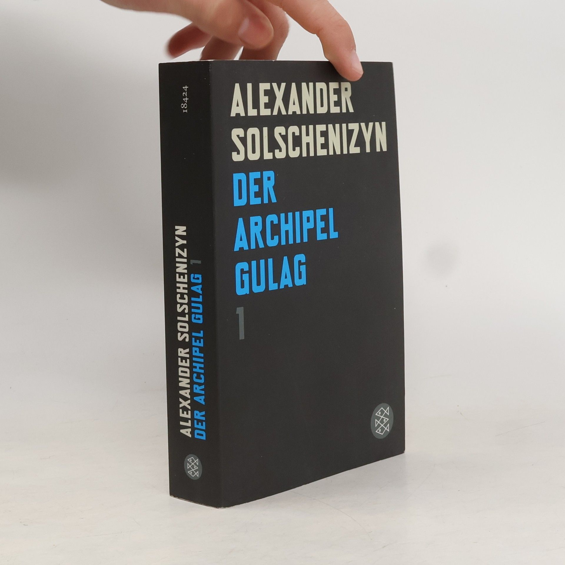 Der Archipel GULAG. Bd.1