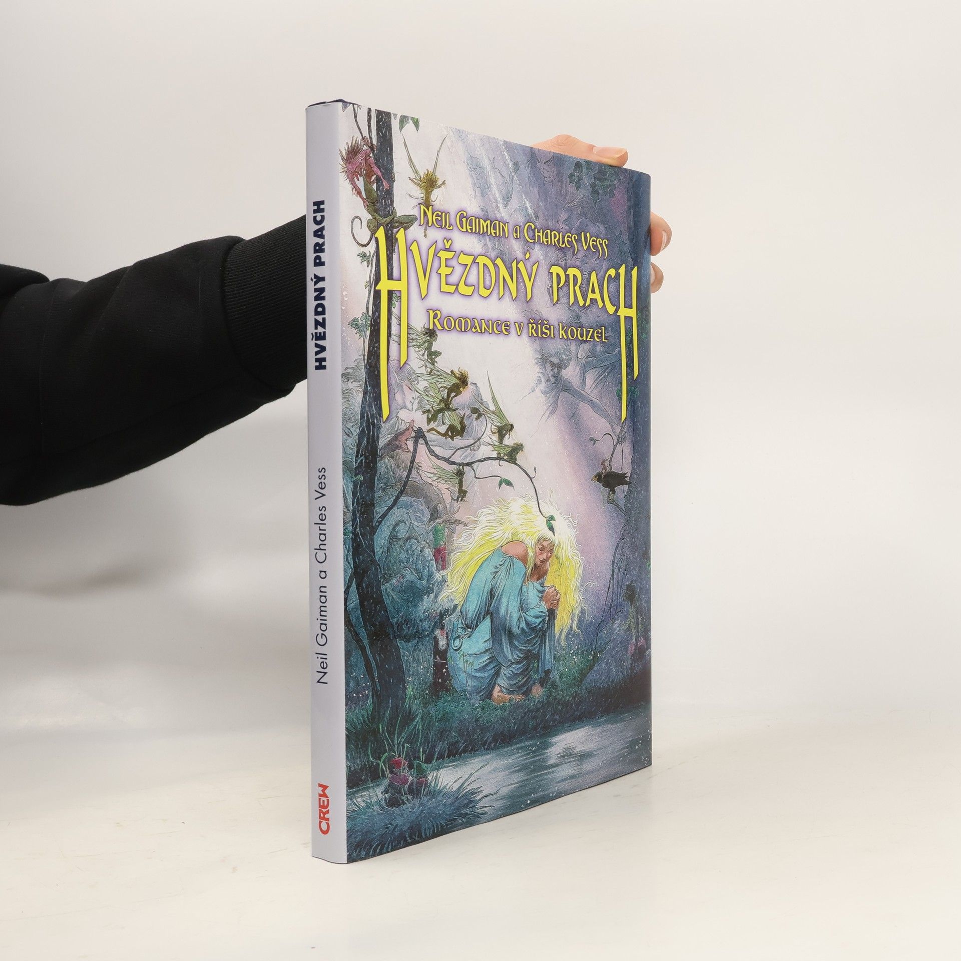 Neil Gaiman Hvězdný prach: romance v říši kouzel