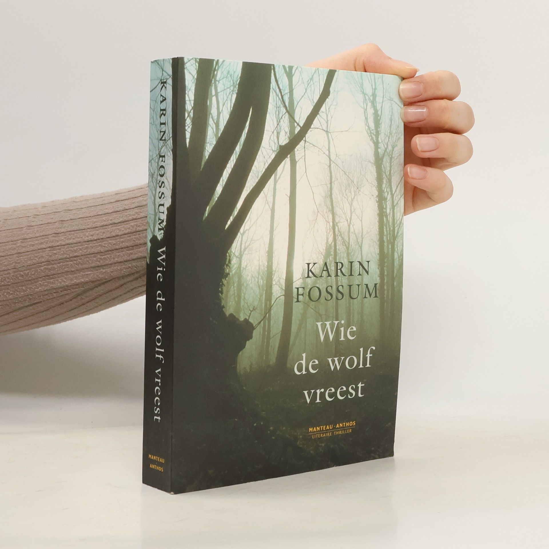 Karin Fossum Wie de wolf vreest